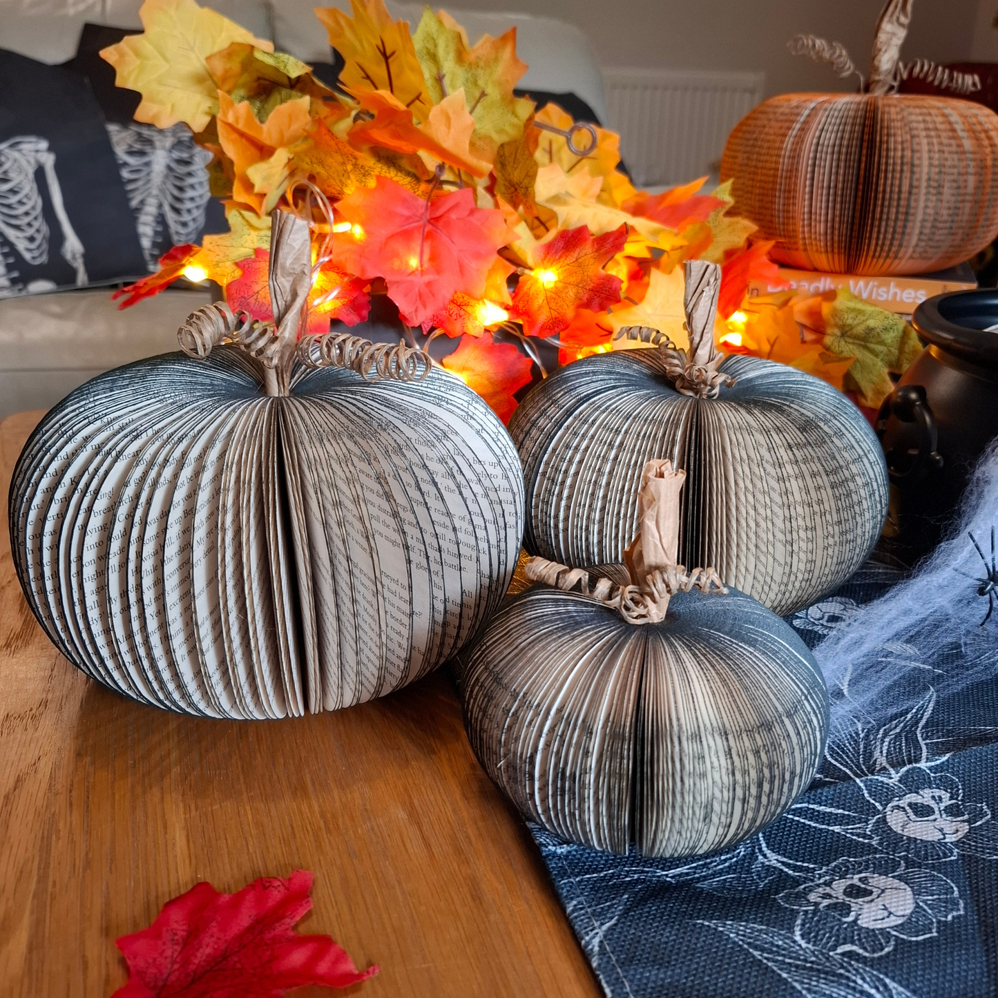 Set of 3 Black Pumpkin close-up detail