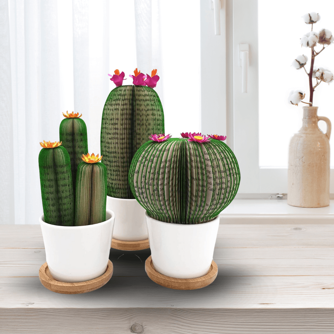 Cactus Book Gift - Paper Apple Co