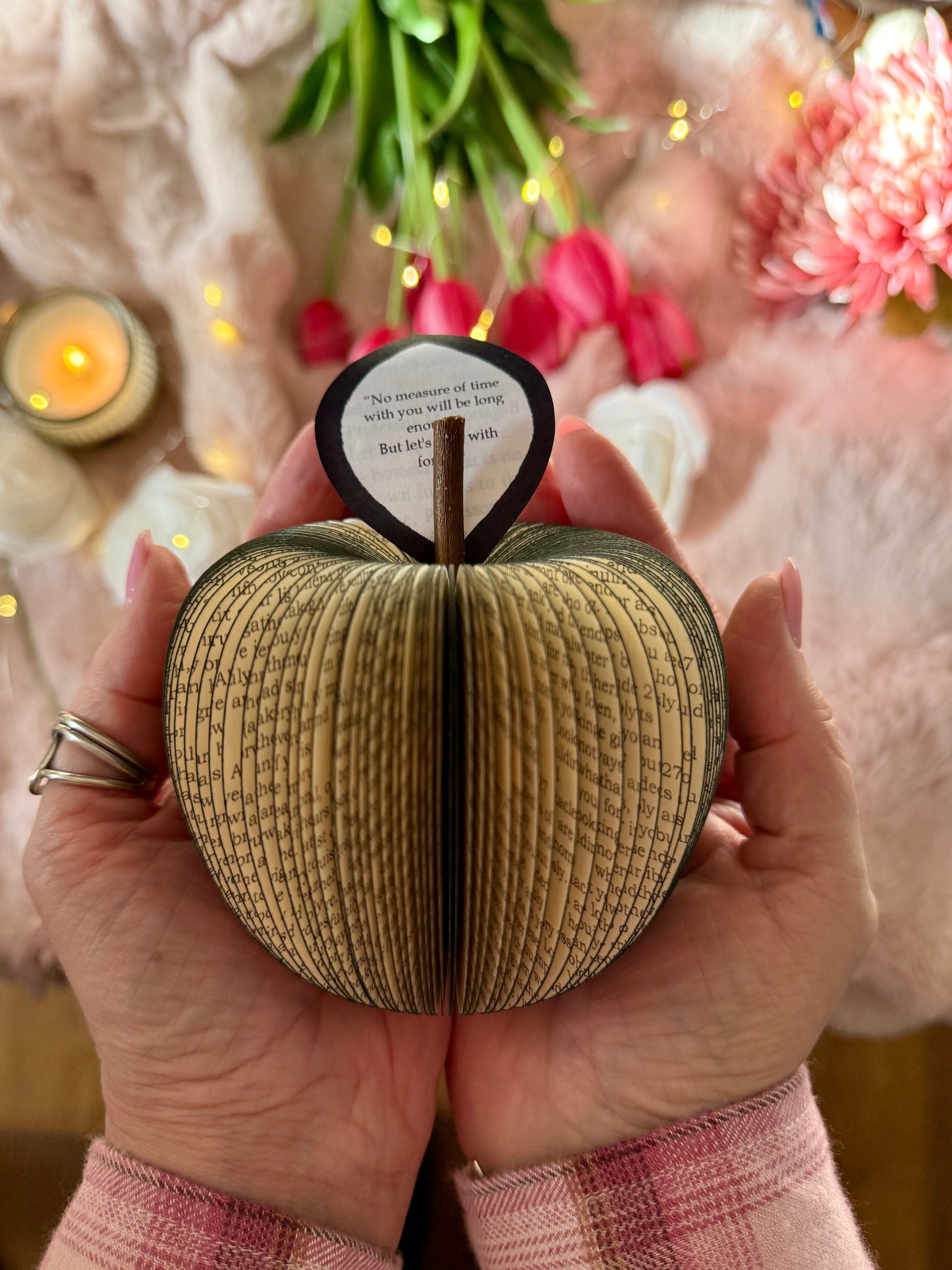 To Kill a Mockingbird Book Apple – A Unique Literary Gift - Paper Apple Co