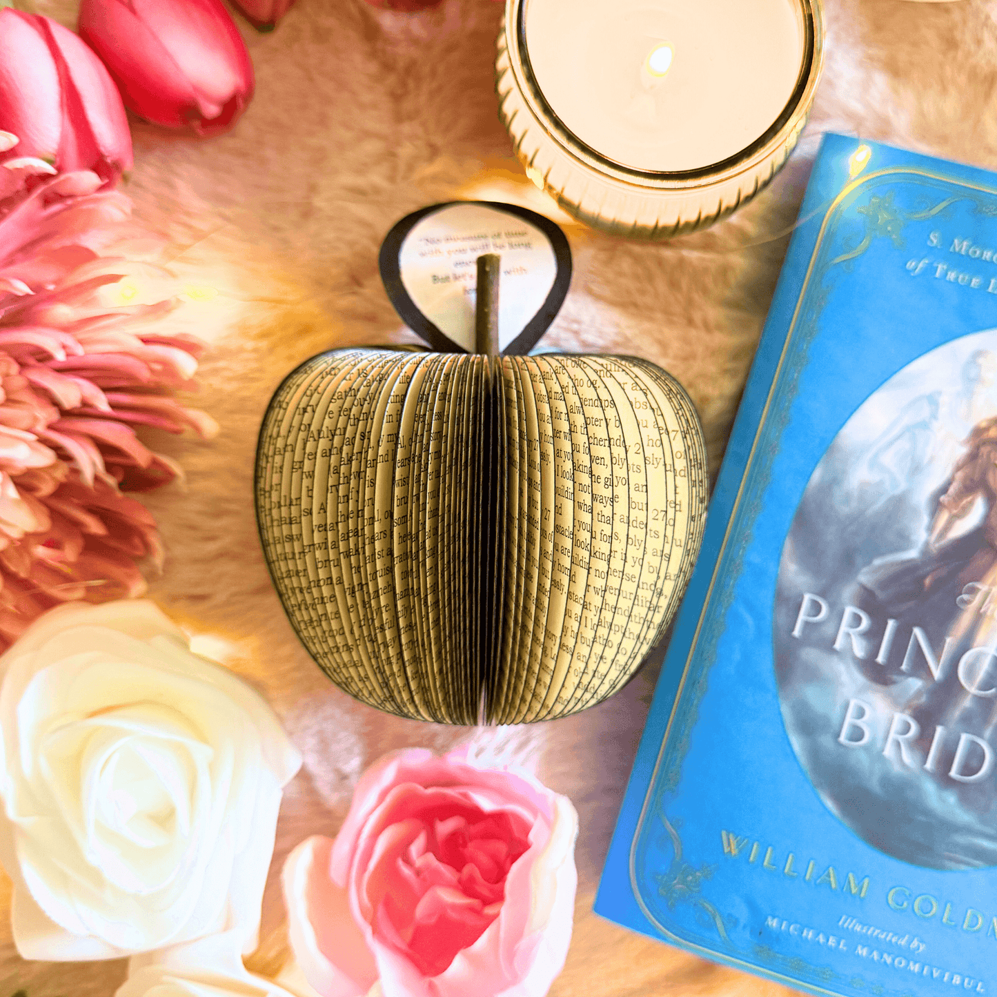 The Princess Bride Book Gift - Paper Apple Co