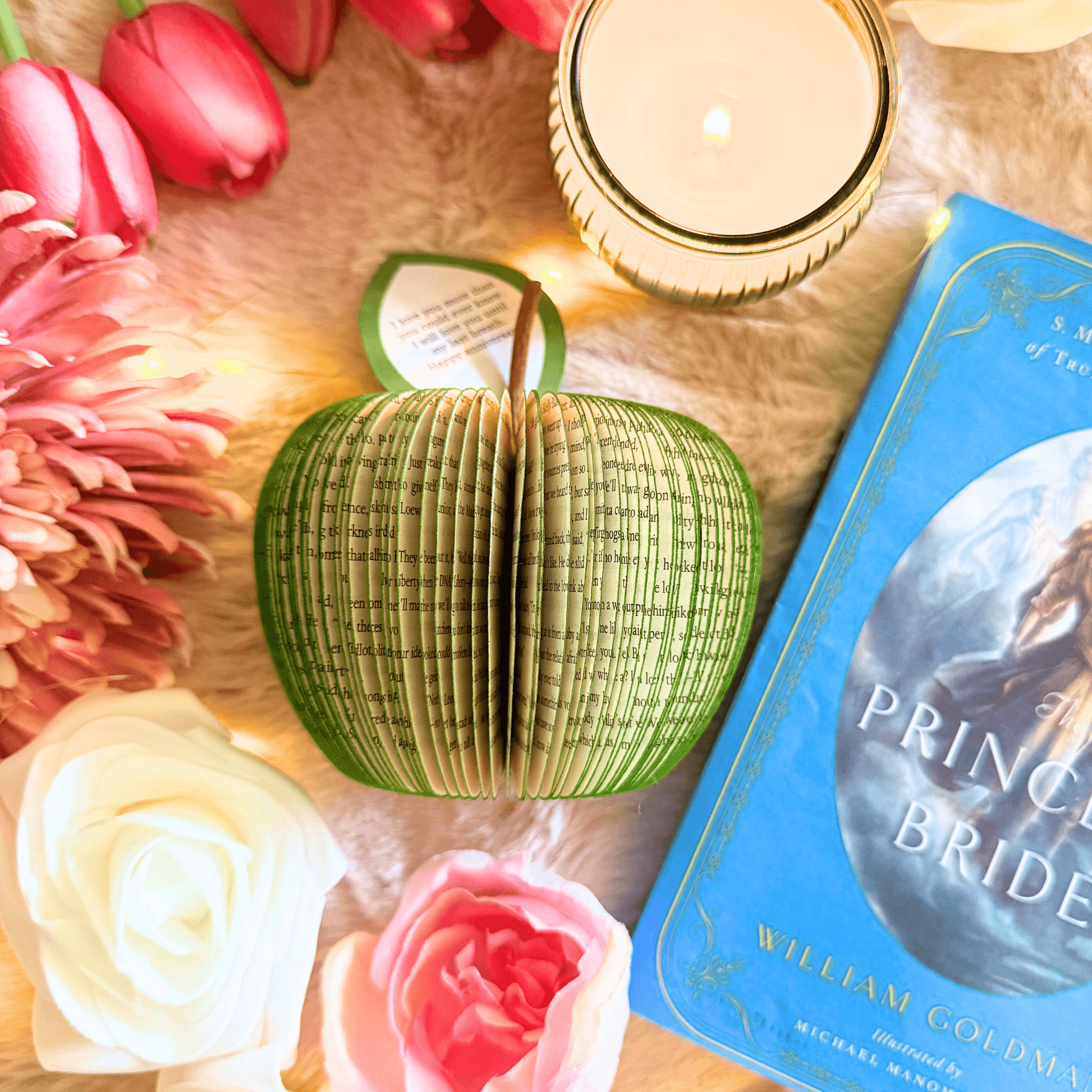 The Princess Bride Book Gift - Paper Apple Co