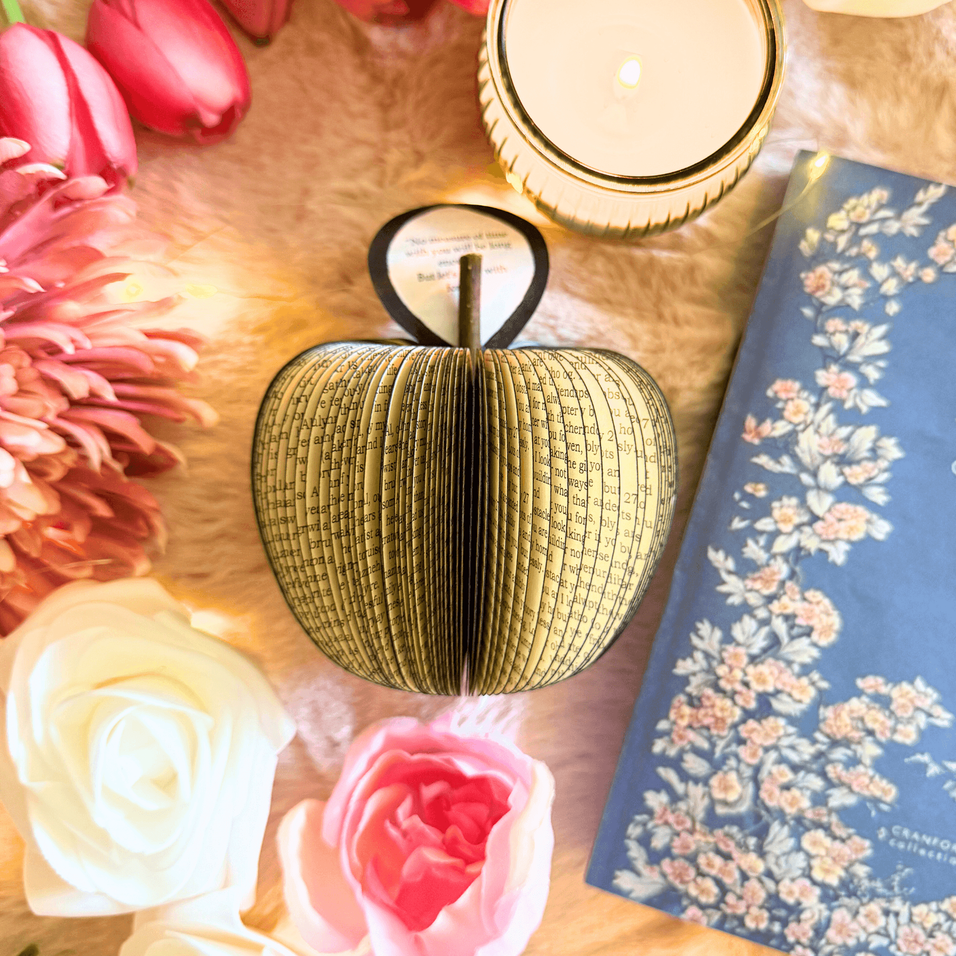 Jane Eyre Book Gift - Paper Apple Co