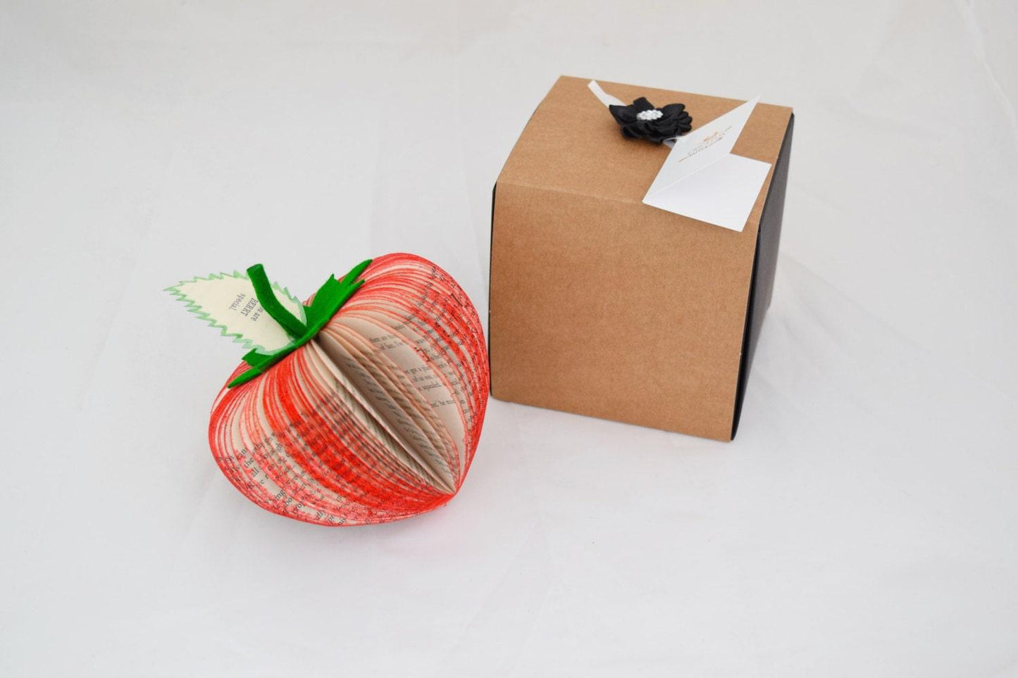 Strawberry Book Gift - Paper Apple Co