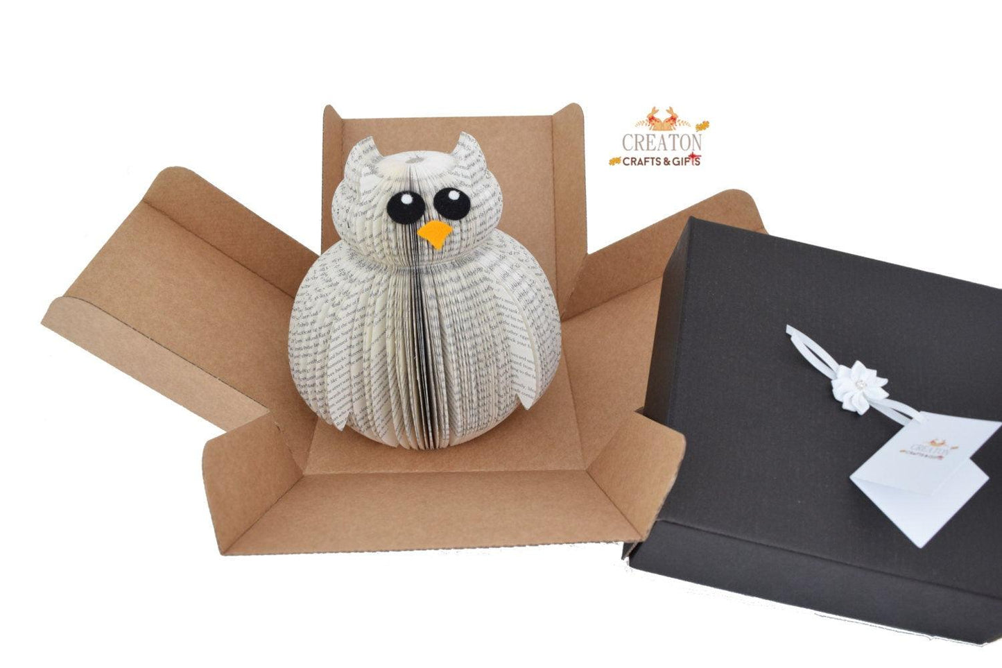 Owl Book Gift - Paper Apple Co