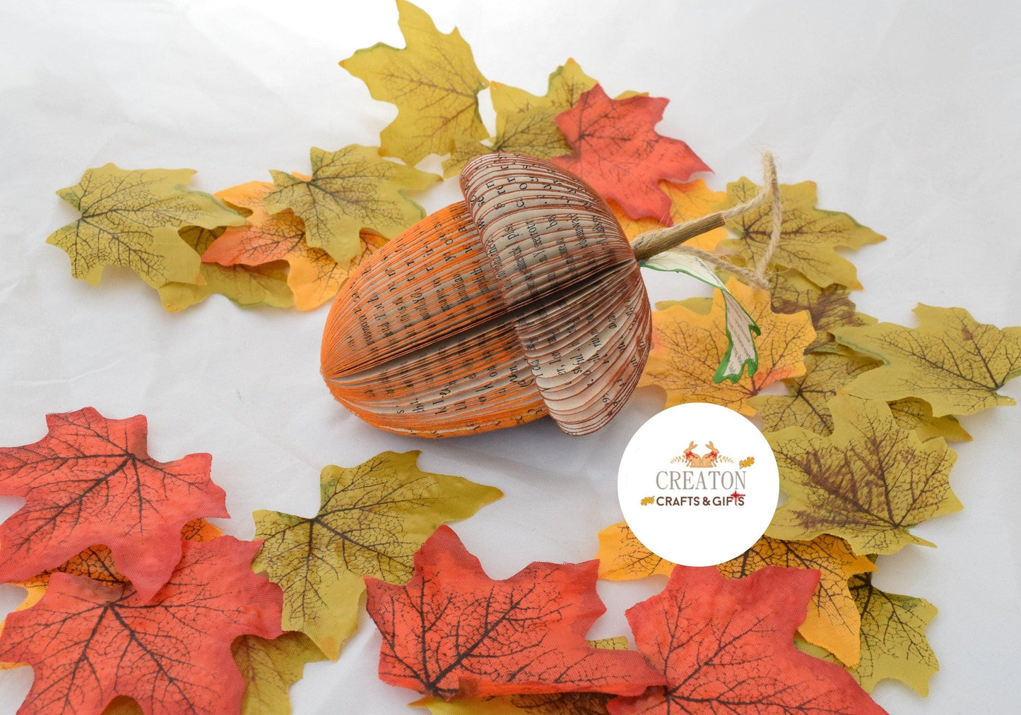 Acorn Book Gift - Paper Apple Co