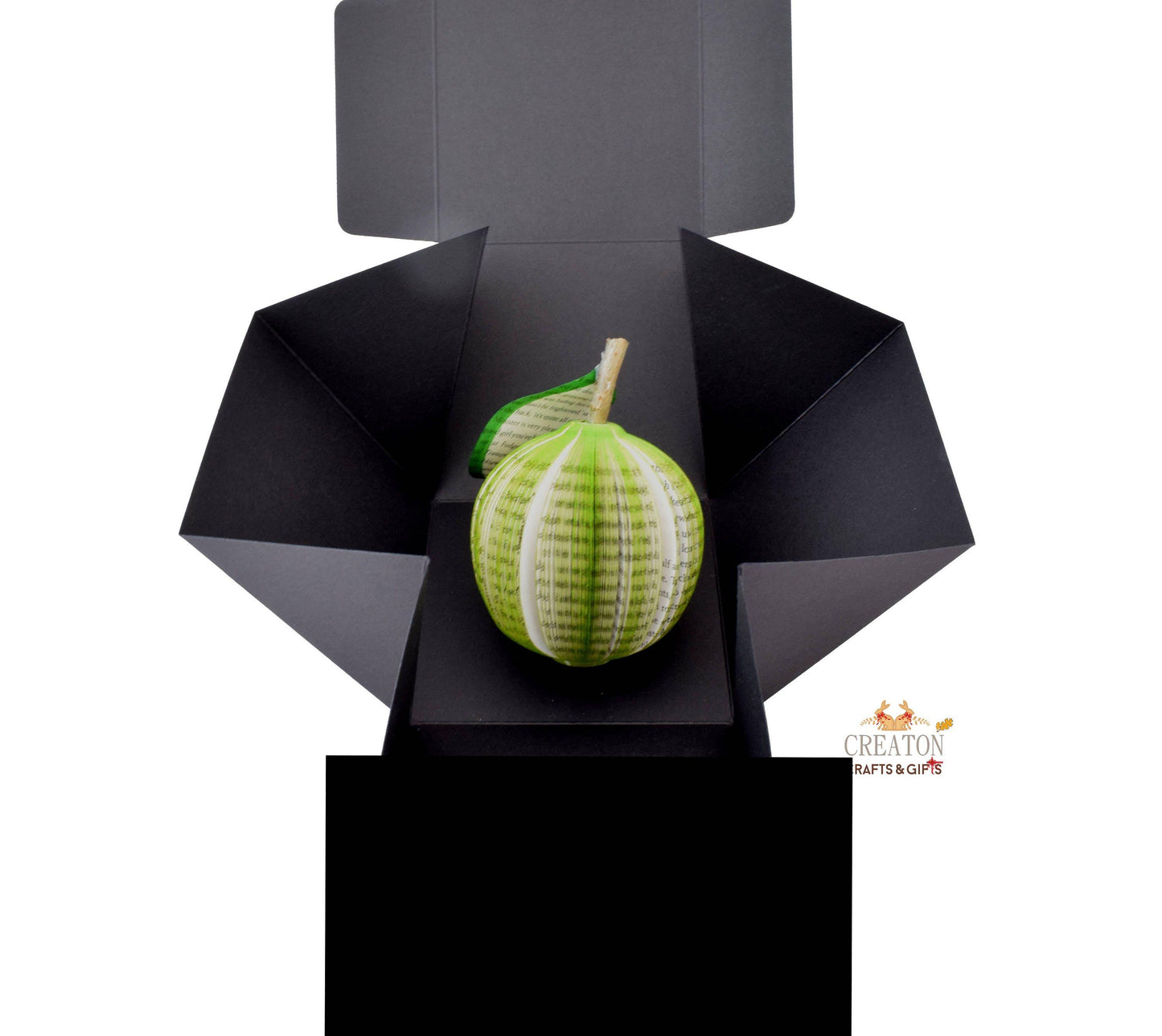 Lime Book Gift - Paper Apple Co