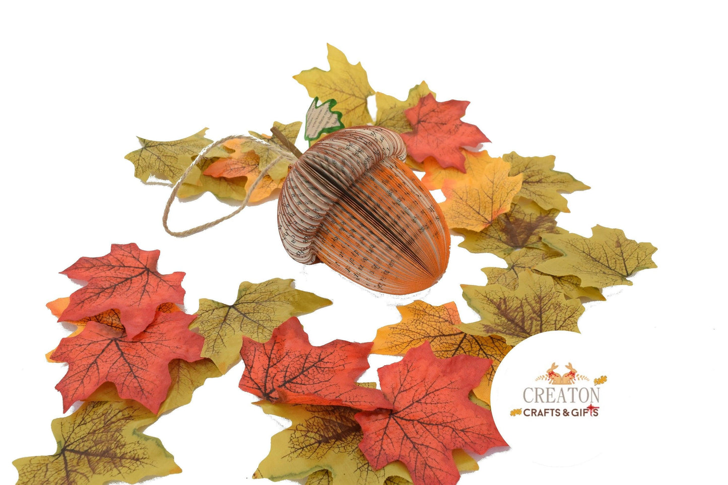 Acorn Book Gift - Paper Apple Co