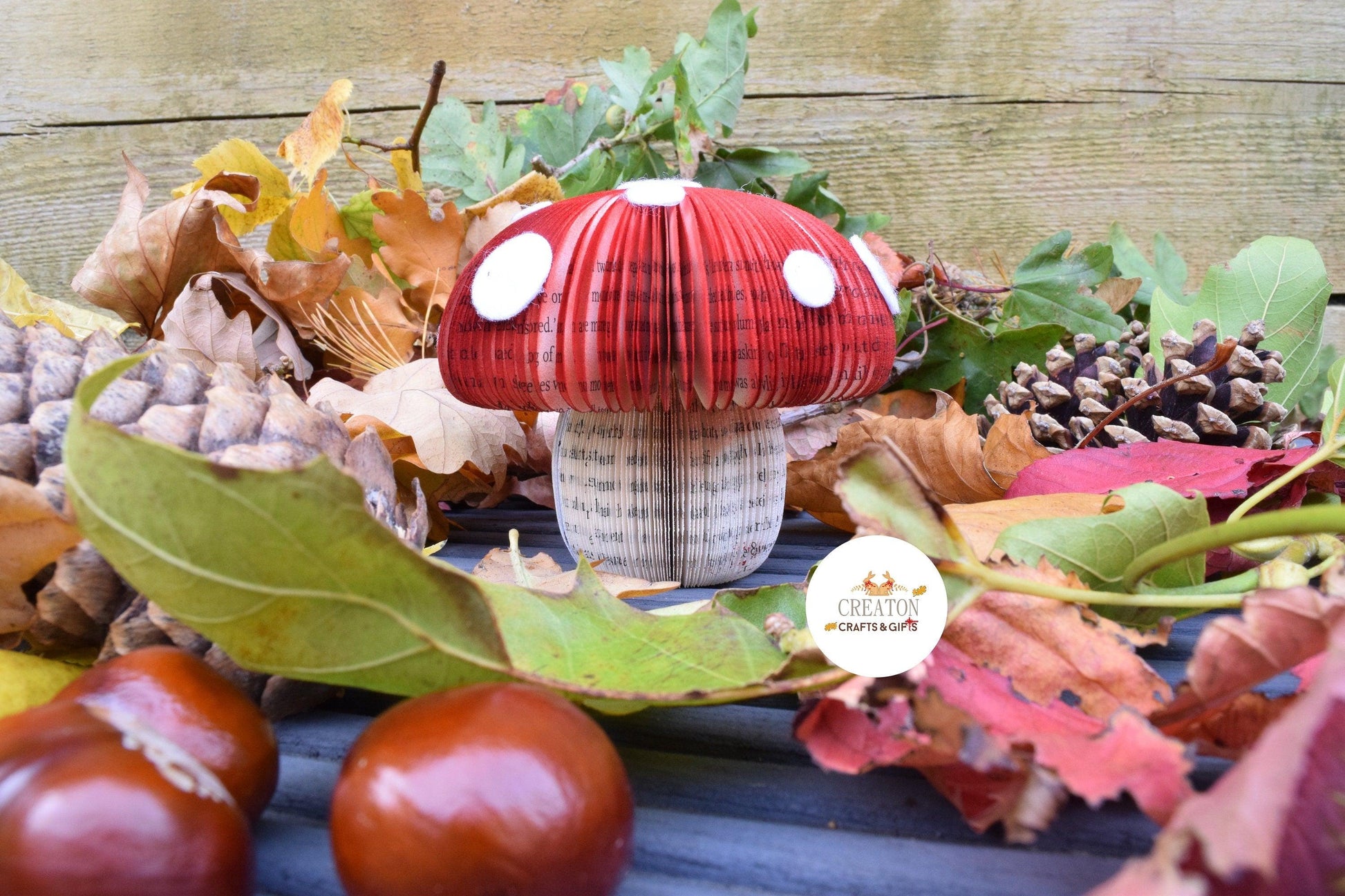 Toadstool Book Gift - Paper Apple Co