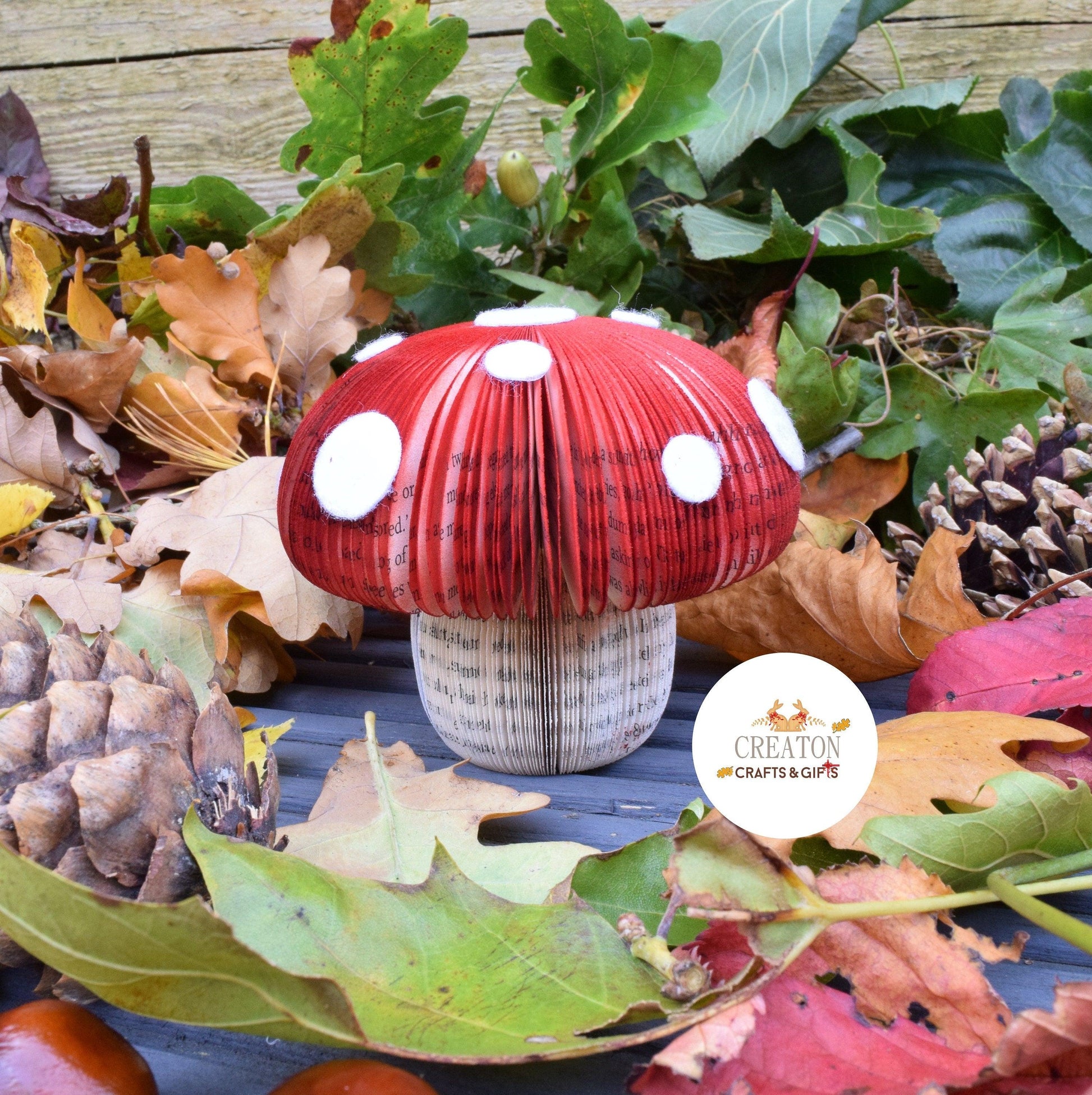 Toadstool Book Gift - Paper Apple Co