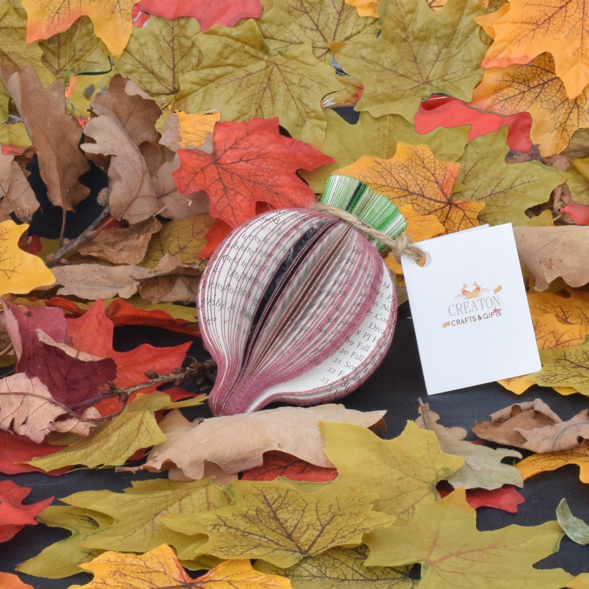 Beetroot Book Gift - Paper Apple Co