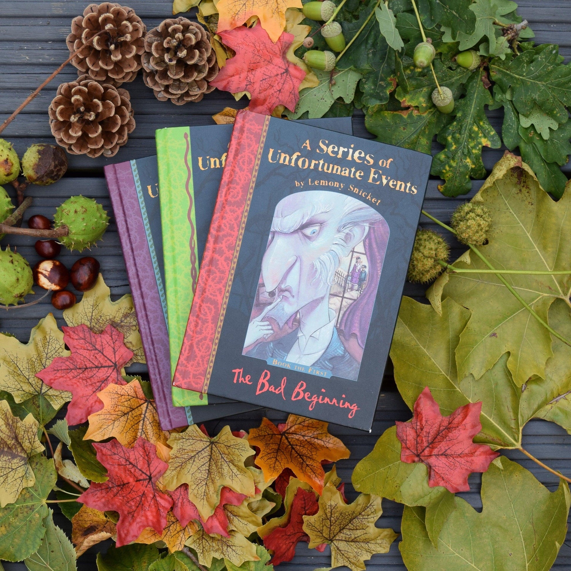 A Series of Unfortunate Events Book Gift - Paper Apple Co