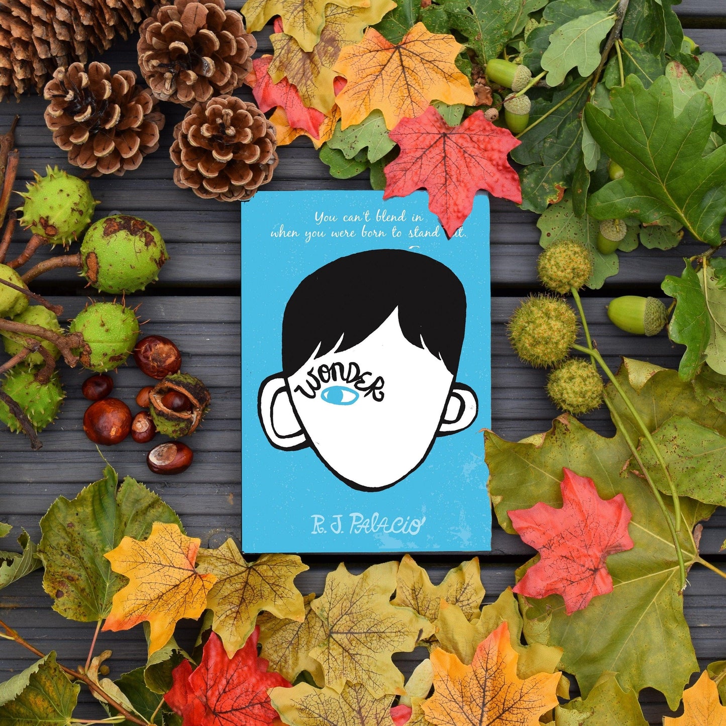 Wonder Book Gift - Paper Apple Co