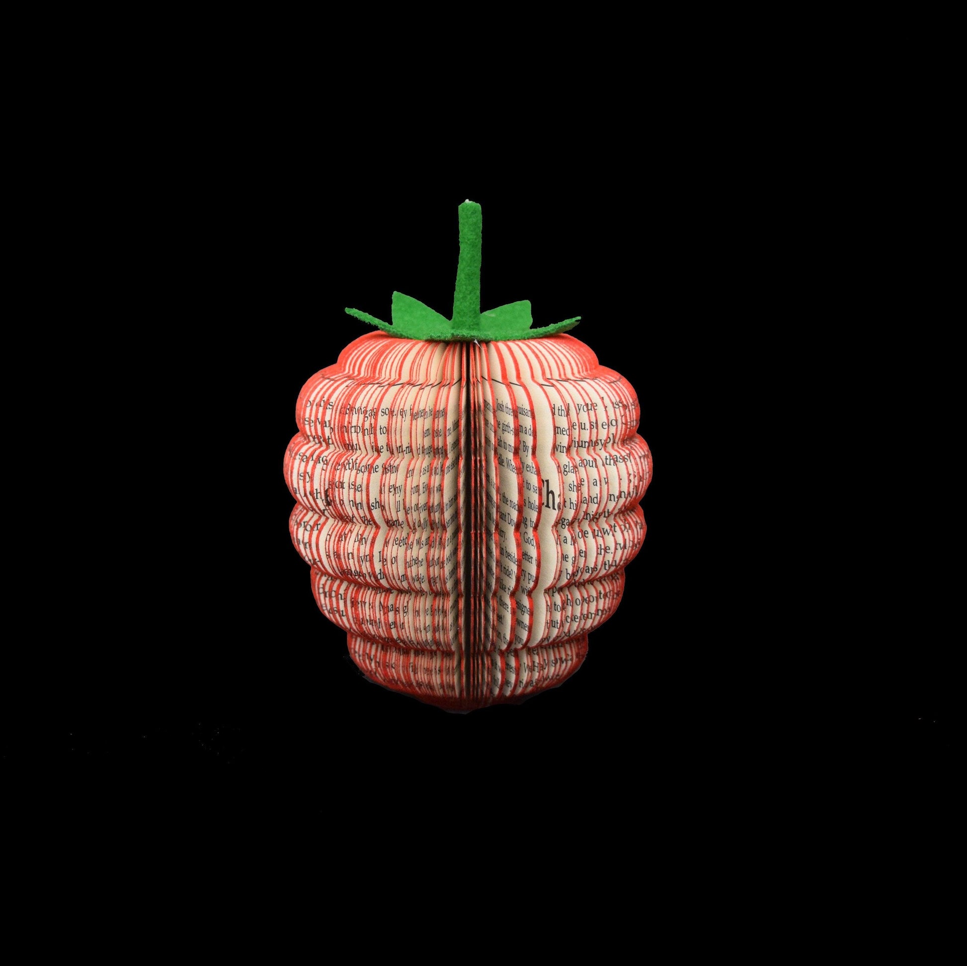 Raspberry Book Gift - Paper Apple Co