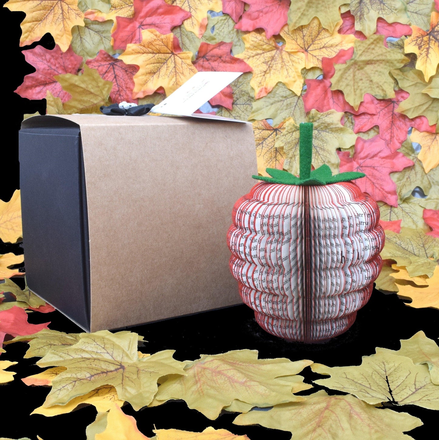 Raspberry Book Gift - Paper Apple Co