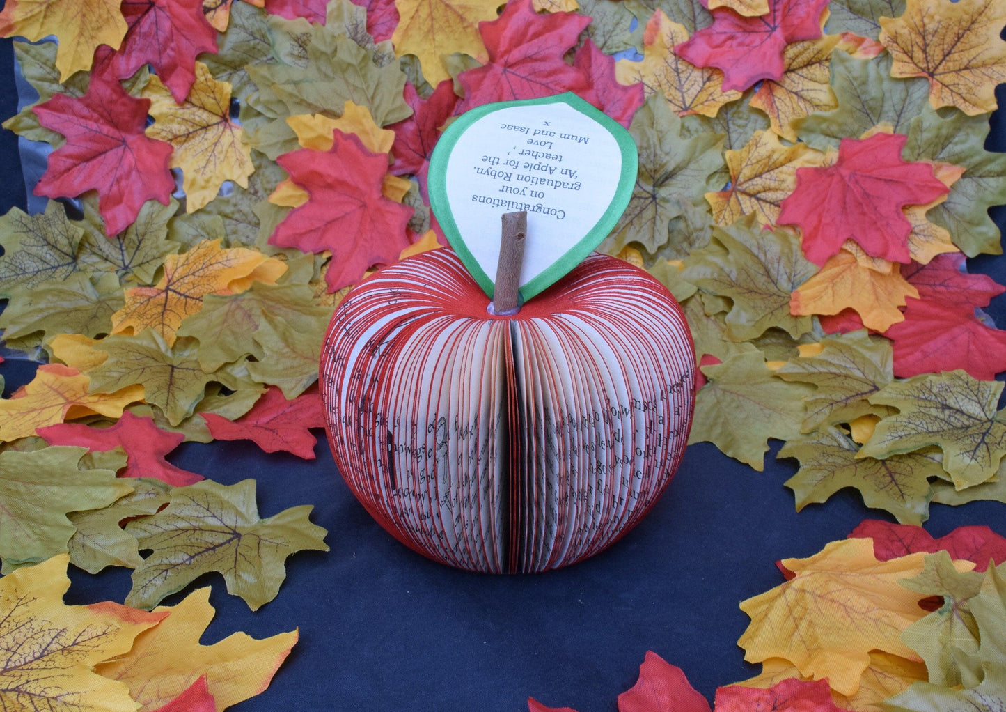 Roald Dahl Book Gift - Paper Apple Co