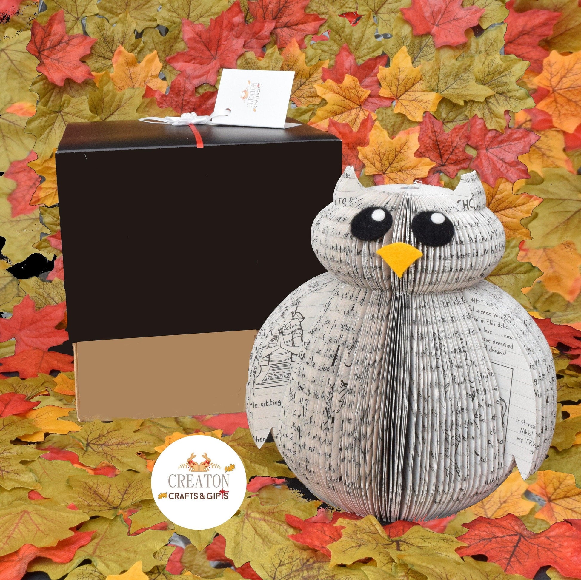 Owl Book Gift - Paper Apple Co