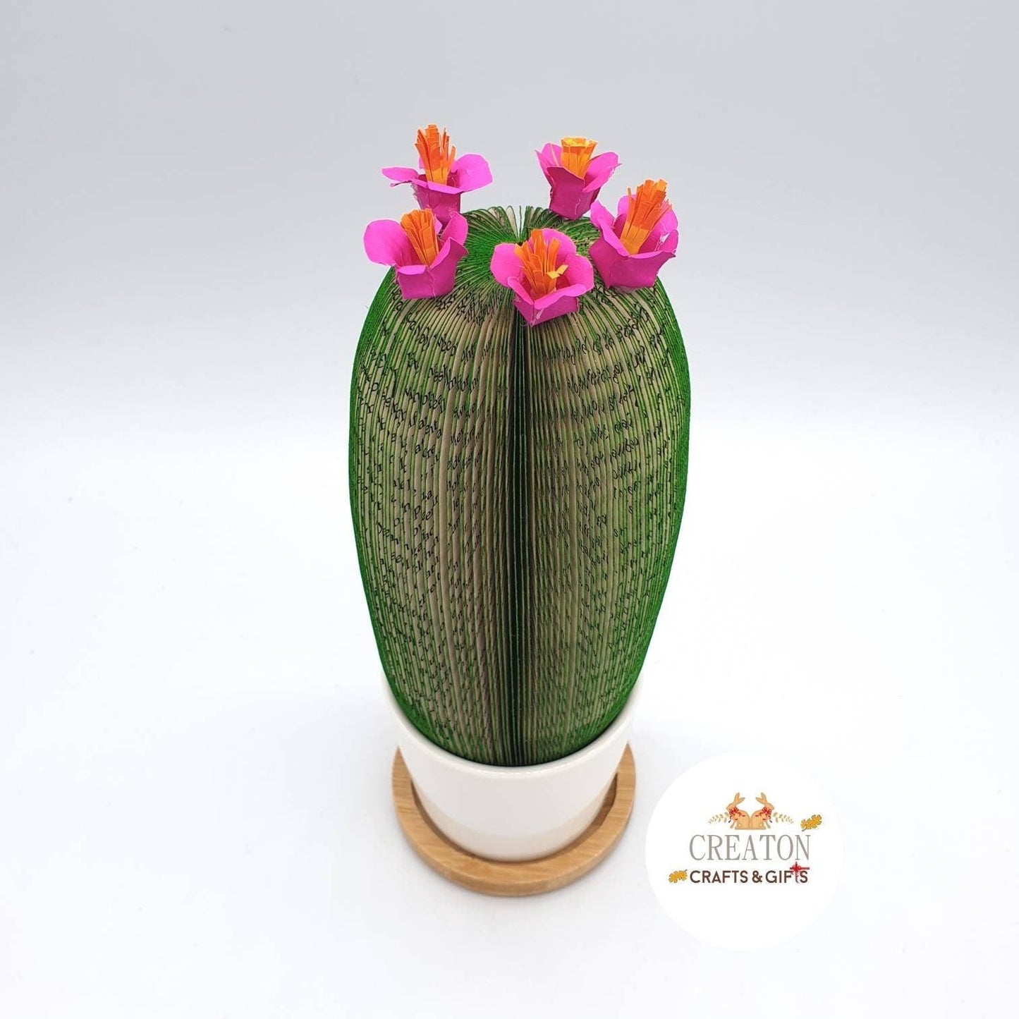 Cactus Book Gift - Paper Apple Co