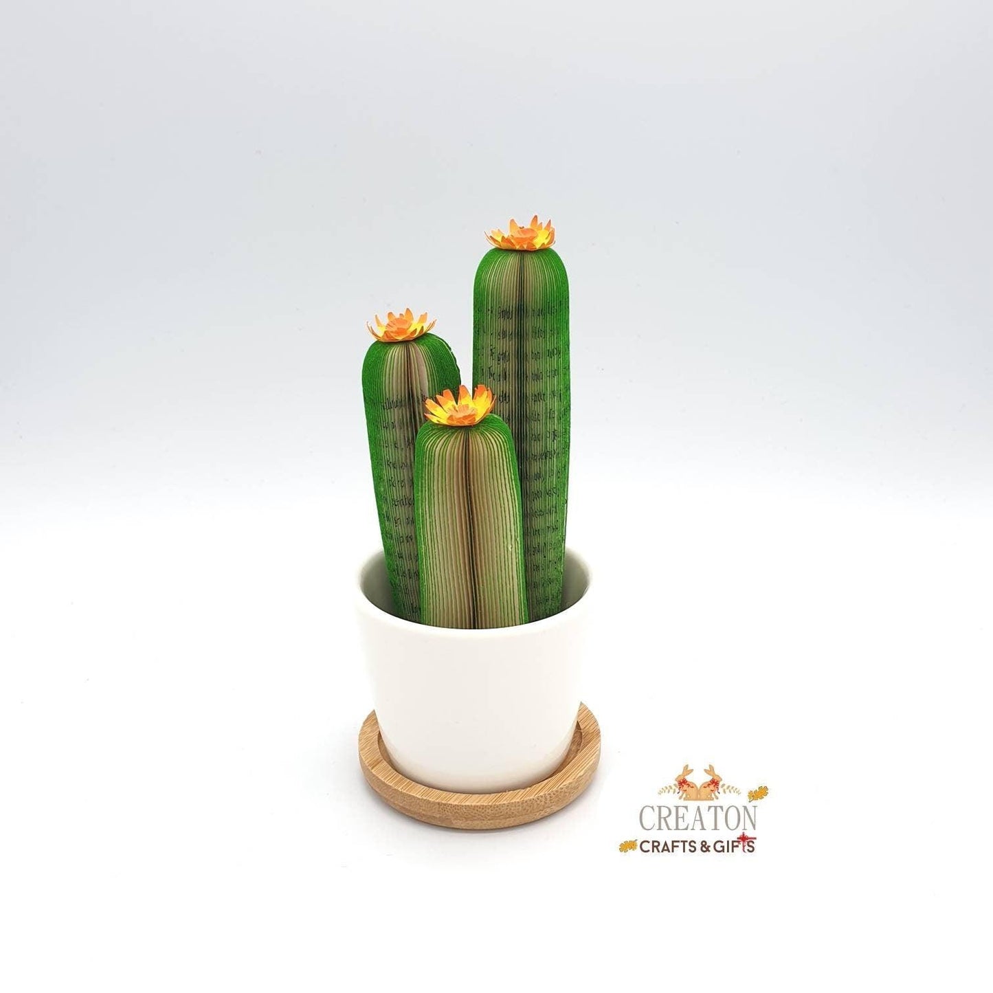 Cactus Book Gift - Paper Apple Co