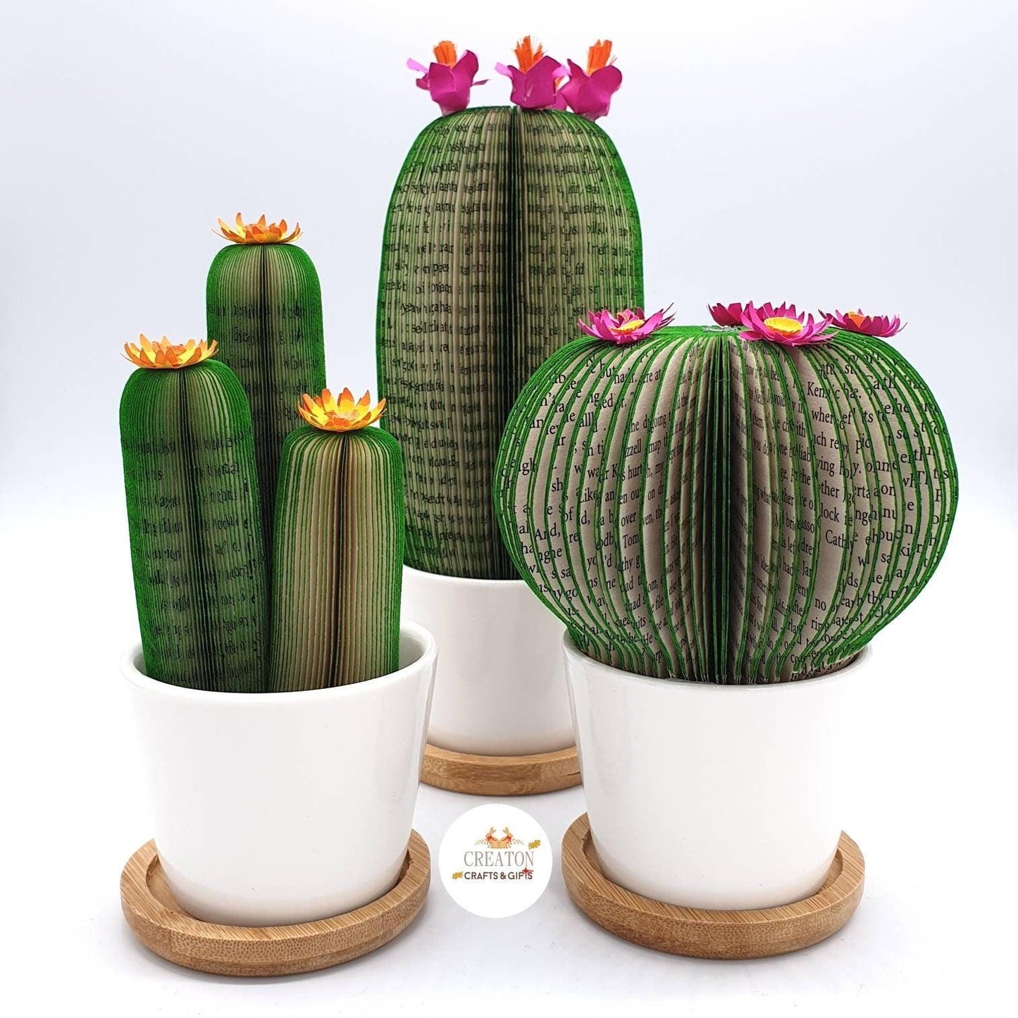 Cactus Book Gift - Paper Apple Co