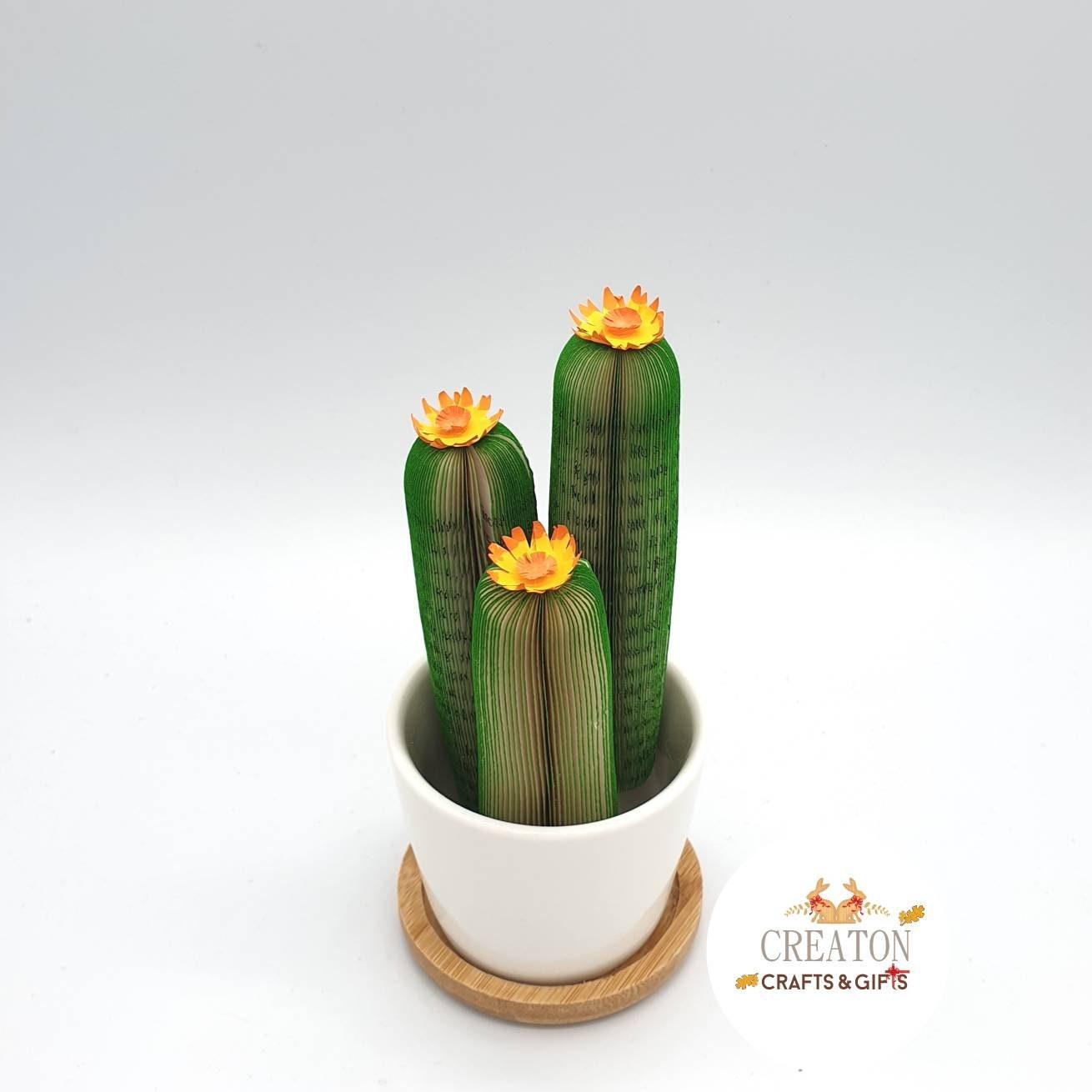 Cactus Book Gift - Paper Apple Co