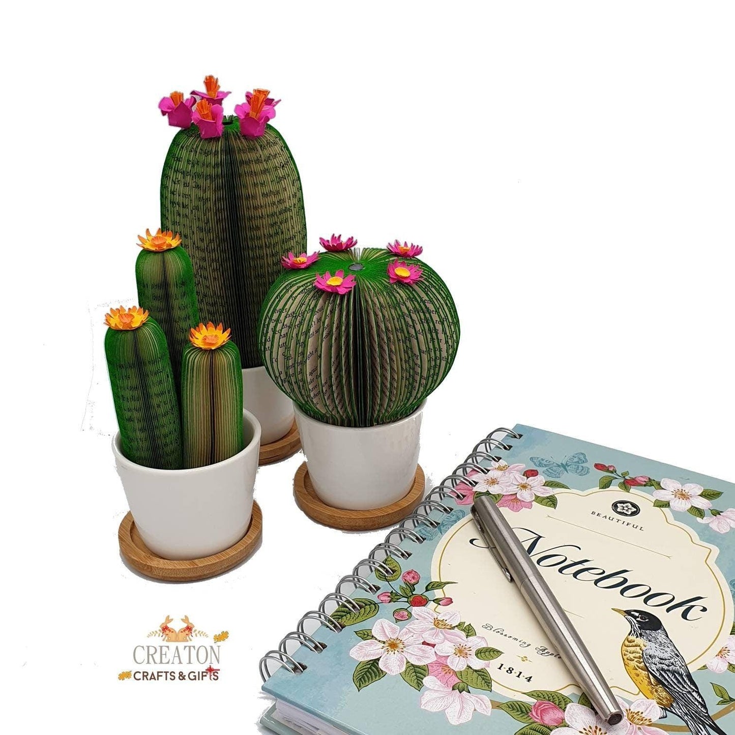 Cactus Book Gift - Paper Apple Co