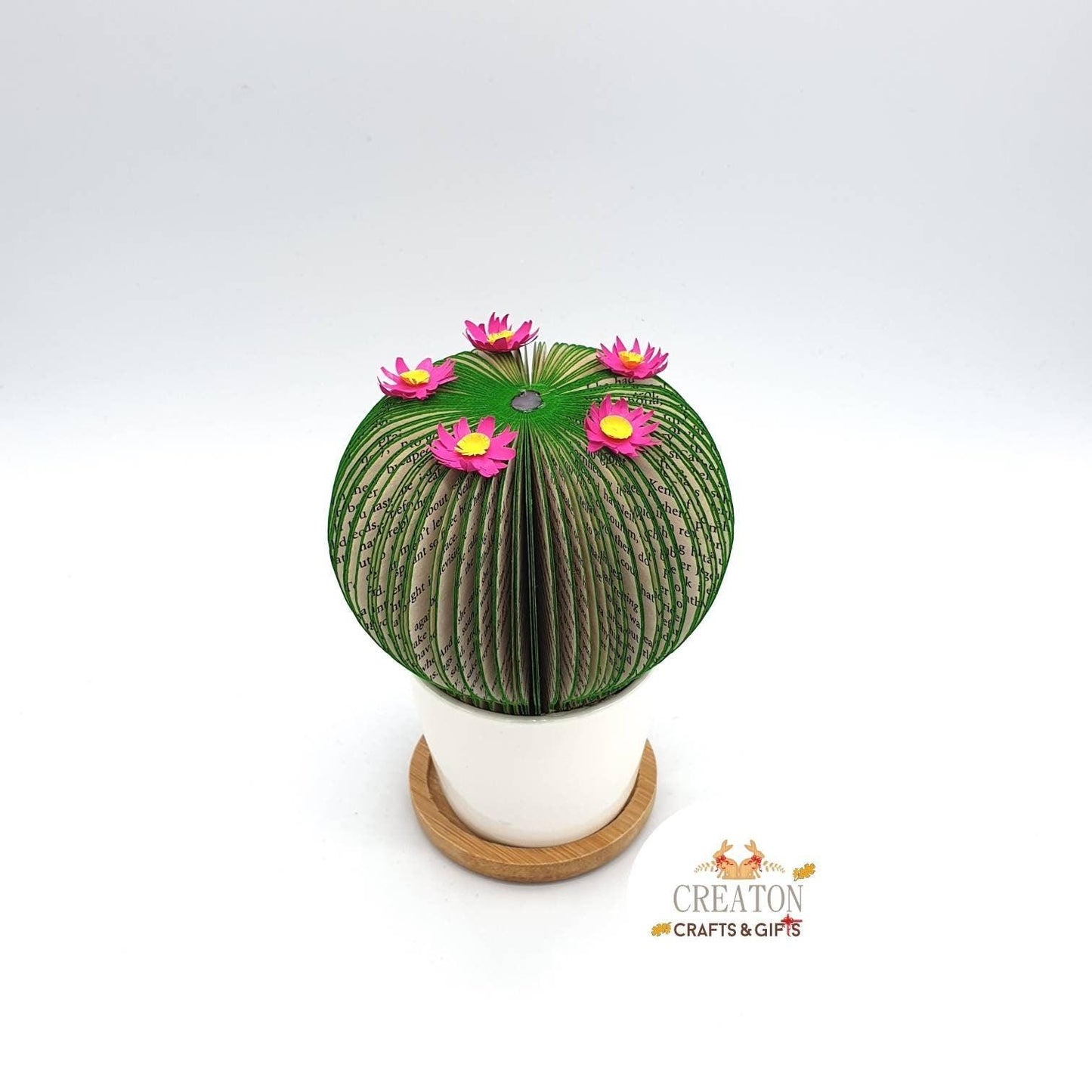 Cactus Book Gift - Paper Apple Co