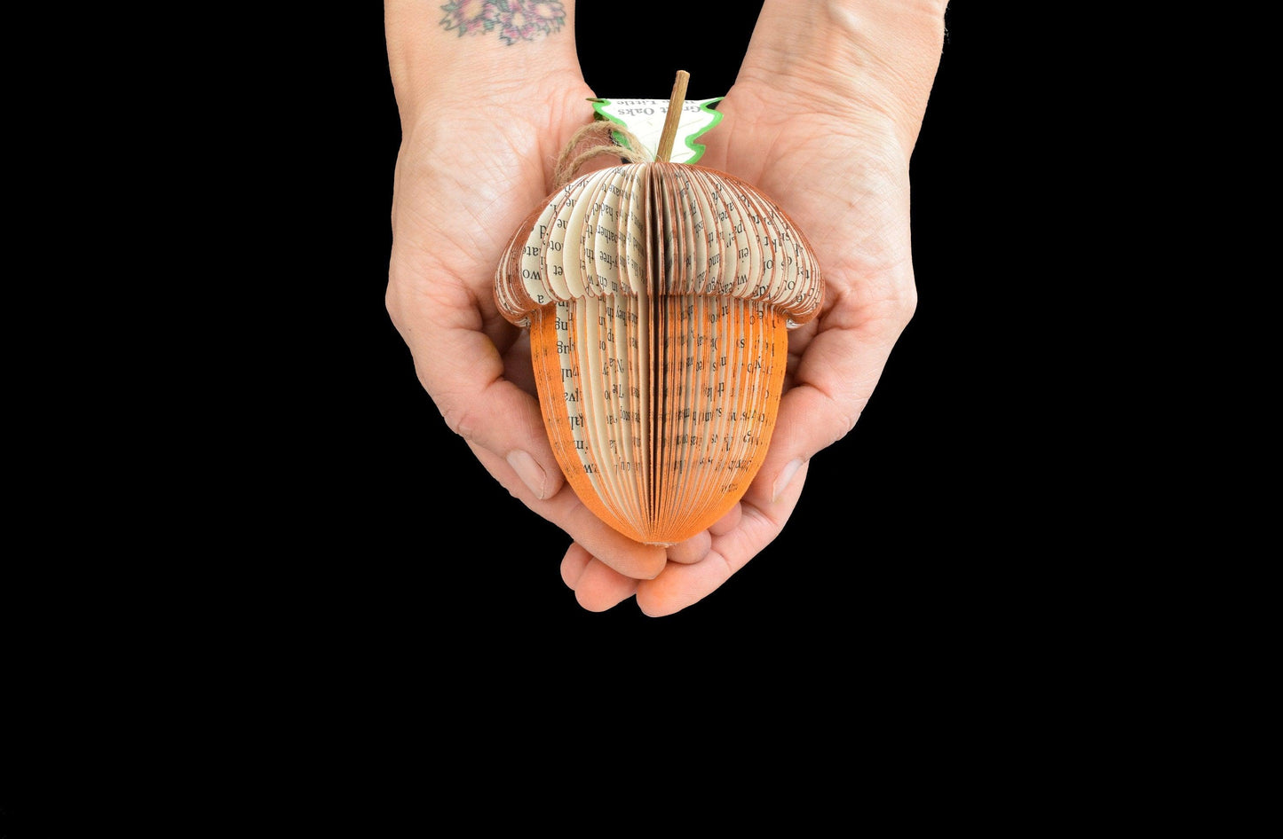 Acorn Book Gift - Paper Apple Co