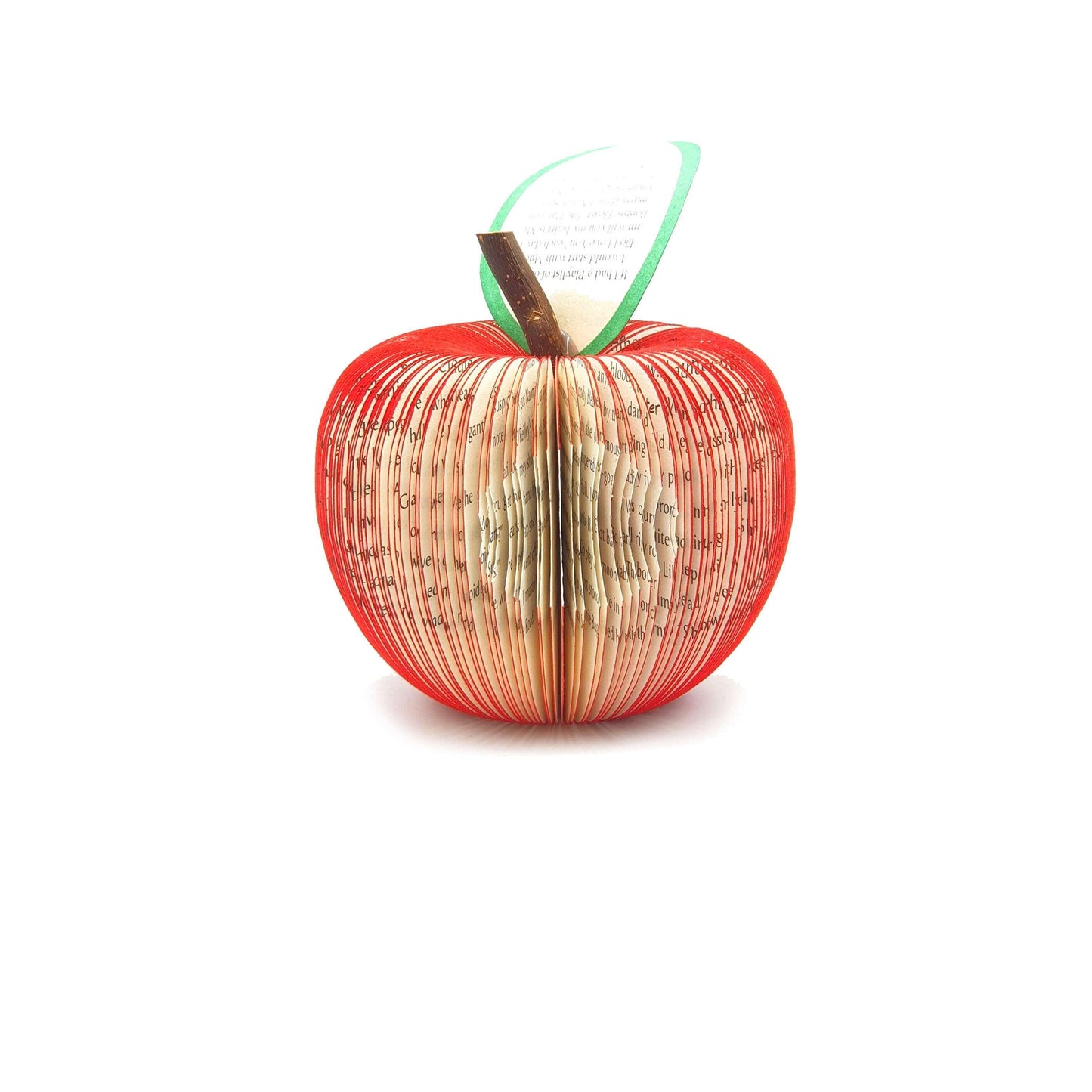 Vampire Diaries Book Gift - Paper Apple Co