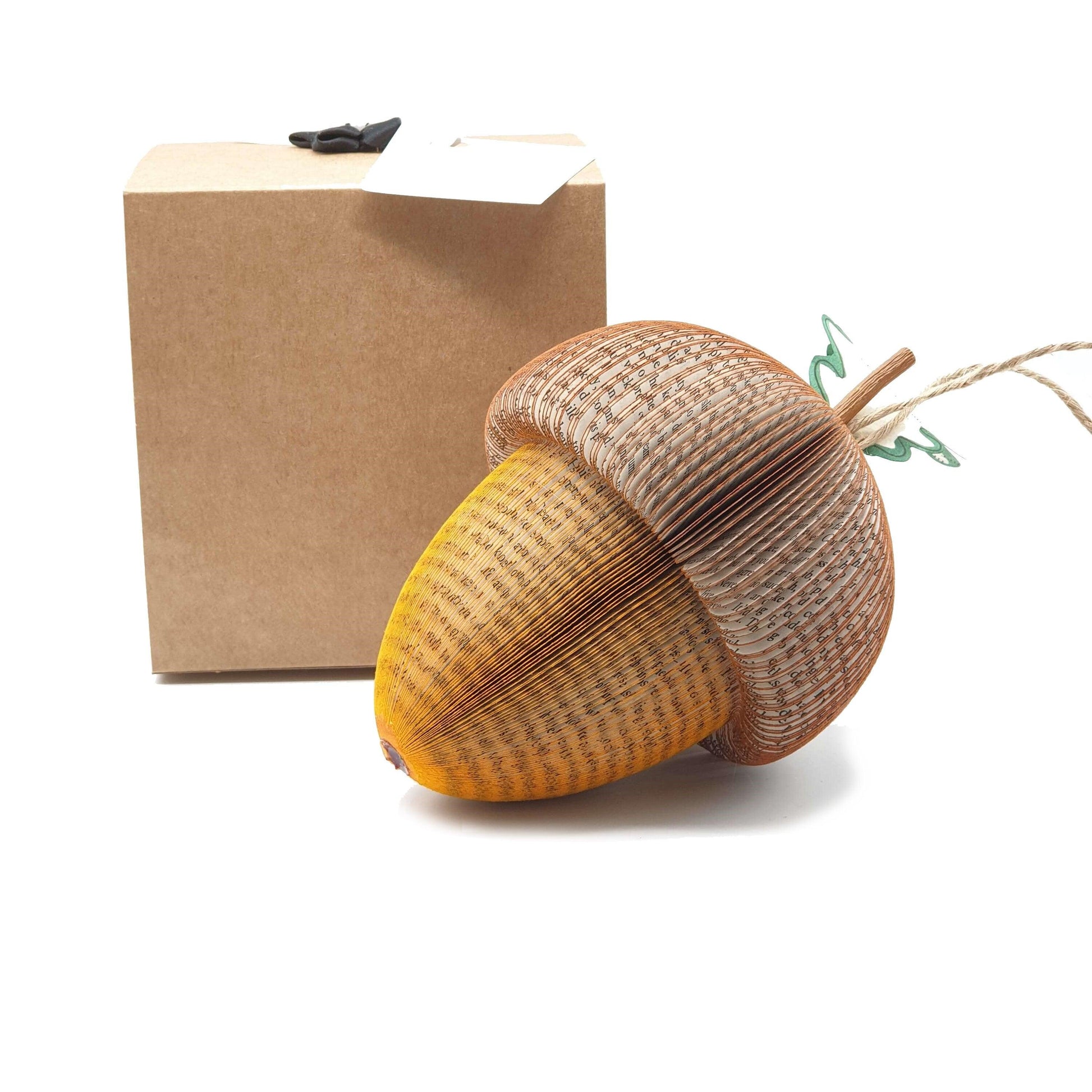 Acorn Book Gift - Paper Apple Co