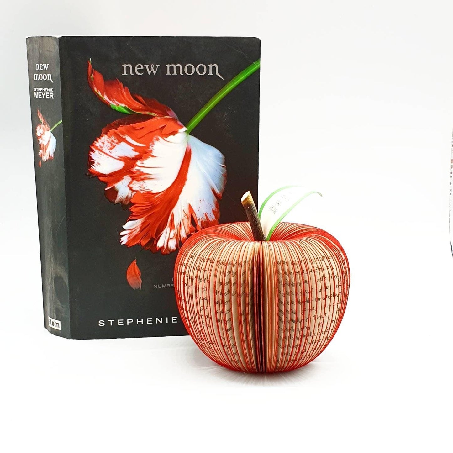 Personalised Twilight Saga Apple – Handmade Book Gift - Paper Apple Co