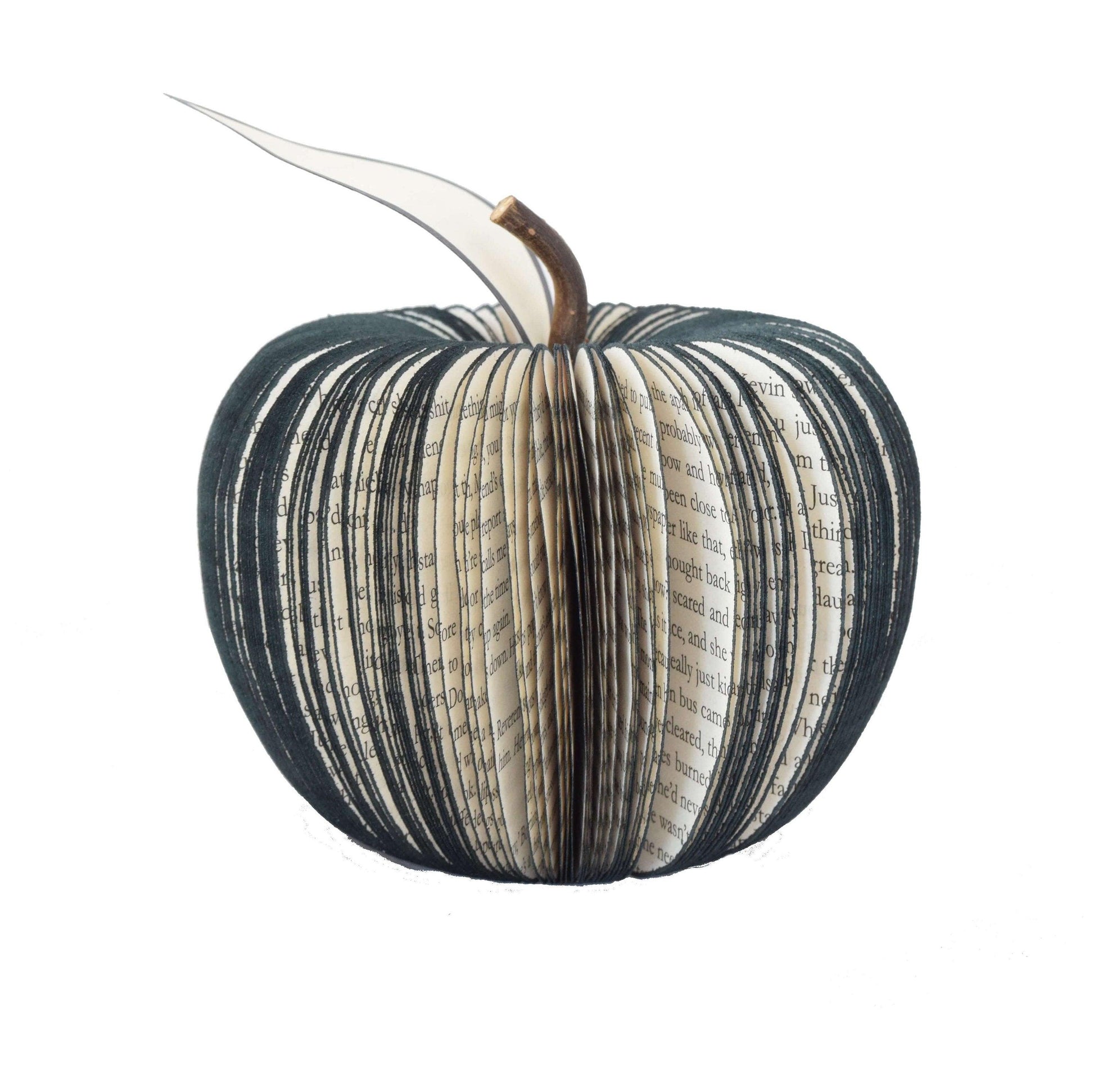 Black Apple Book Gift - Paper Apple Co