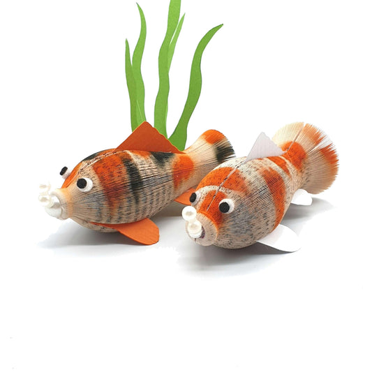 Koi fish Book Gift - Paper Apple Co
