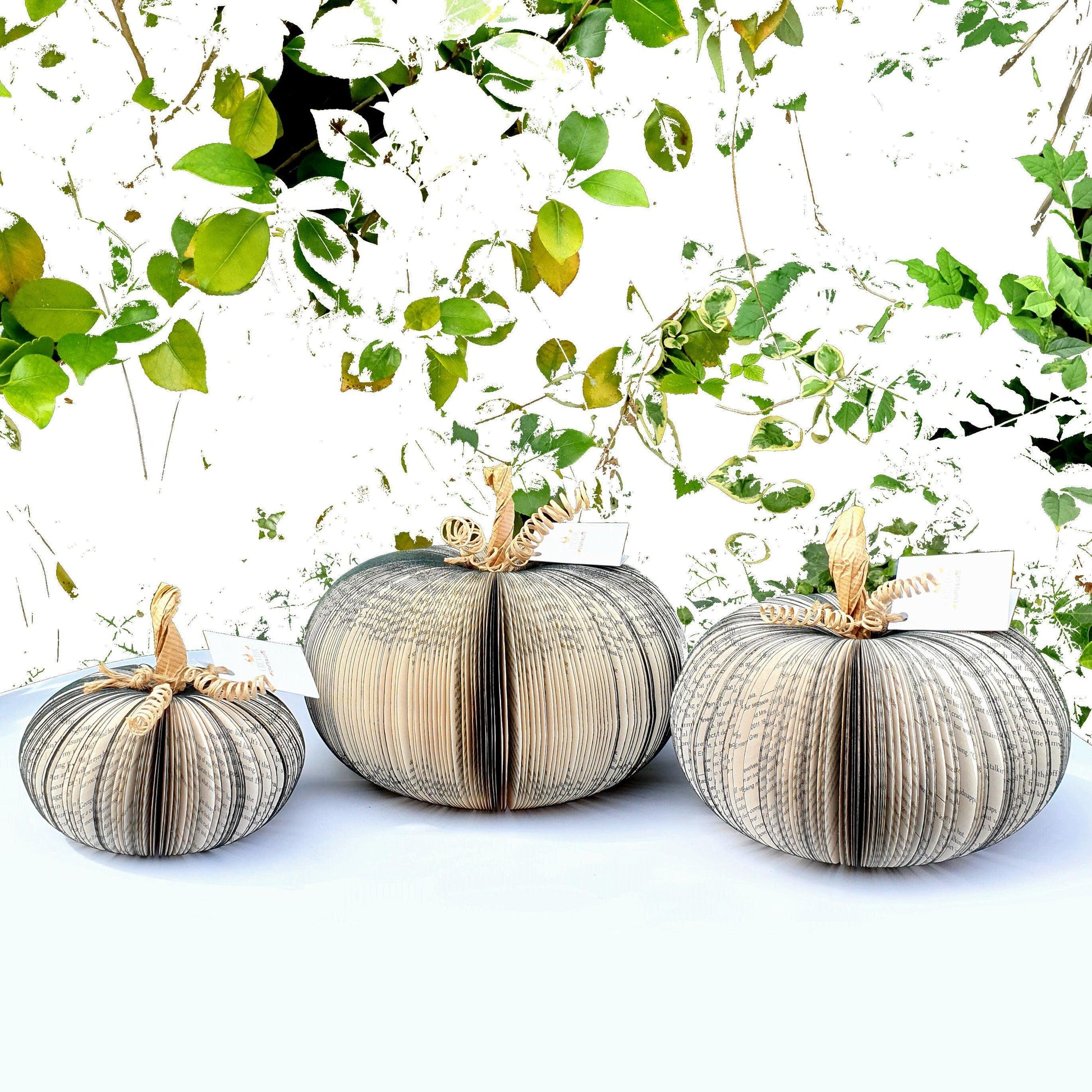 Set of 3 Black Pumpkin Book Gift - Paper Apple Co