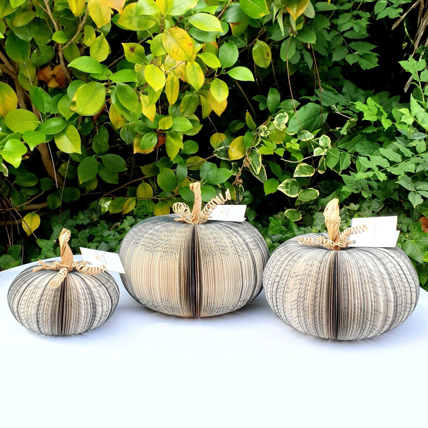 Set of 3 Black Pumpkin Book Gift - Paper Apple Co