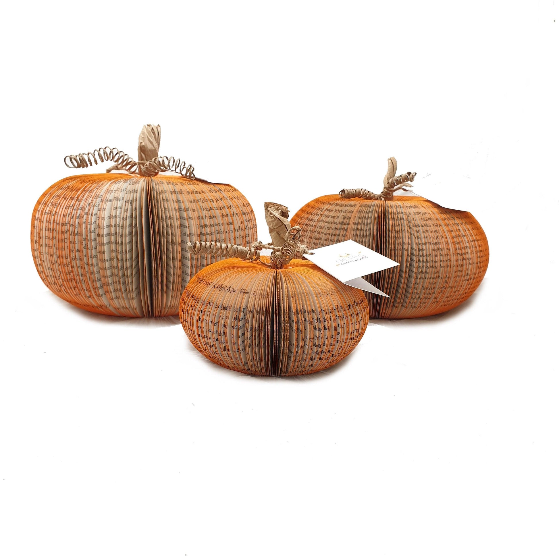 Set of 3 Pumpkin Book Gift - Paper Apple Co