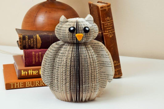 Owl Book Gift - Paper Apple Co