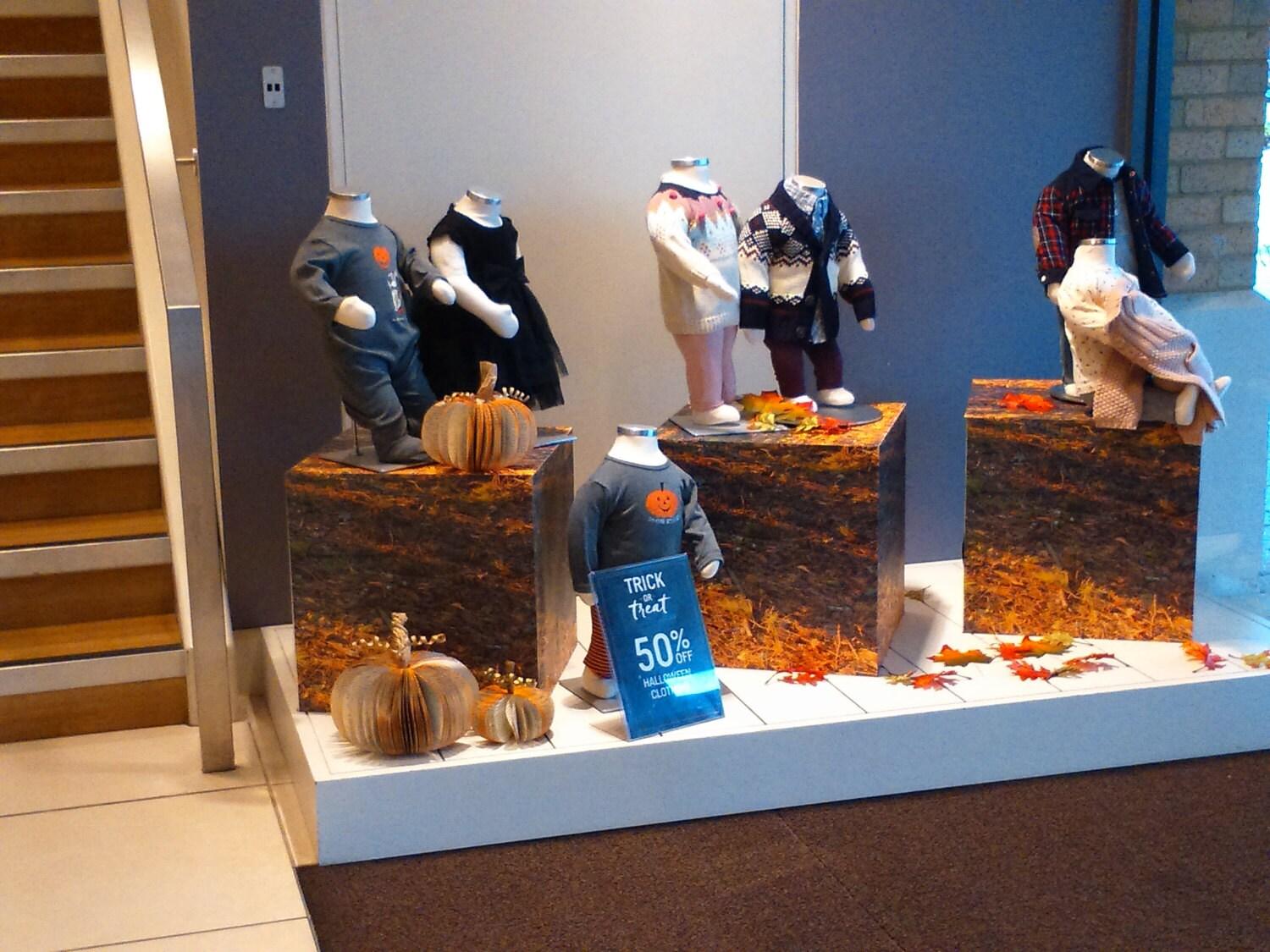 Small Pumpkin Book Gift - Paper Apple Co