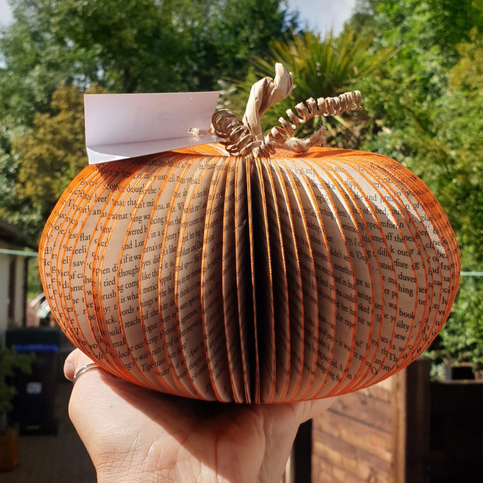 Set of 3 Pumpkin personalised pumpkin gift option