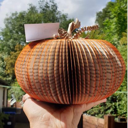 Set of 3 Pumpkin additional lifestyle photo