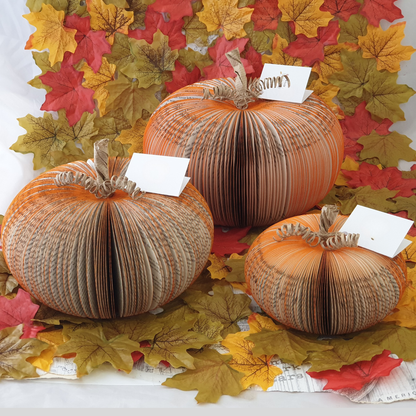 Set of 3 Pumpkin Book Gift