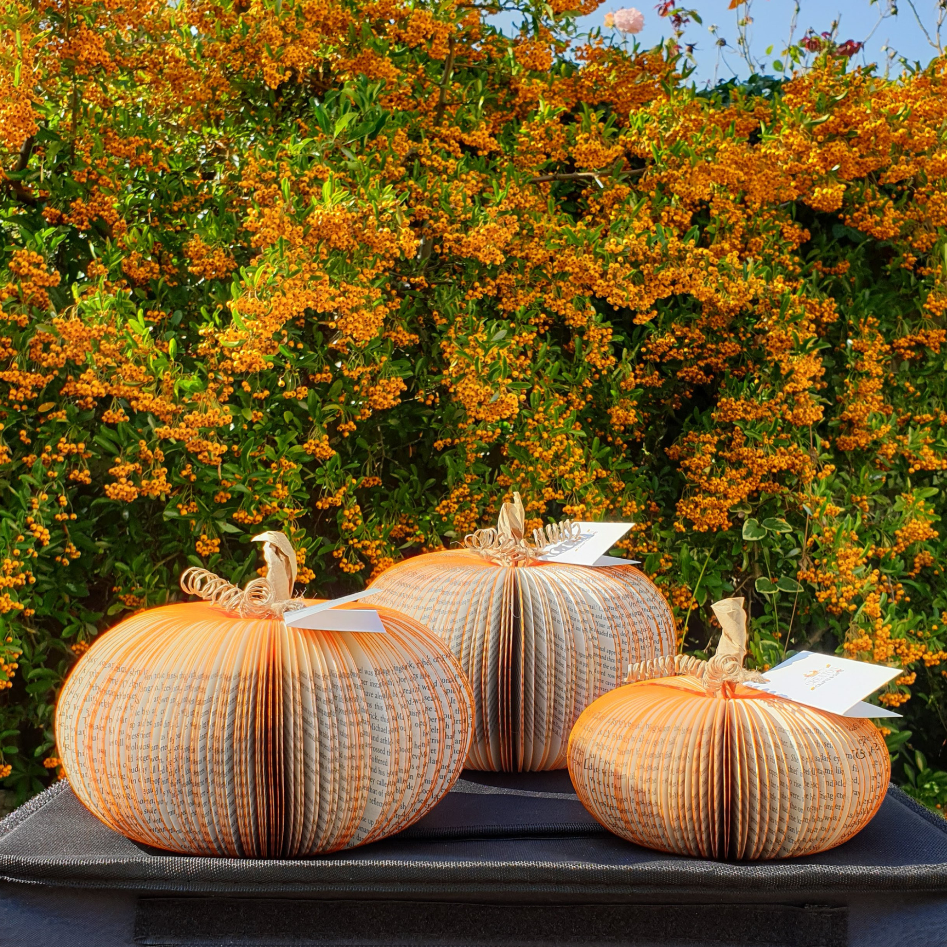 Set of 3 handmade book pumpkin unique handmade gift made from book pages
