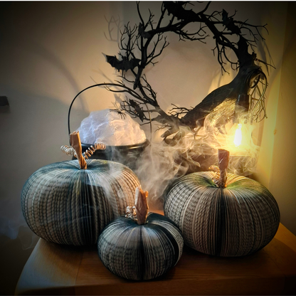 Set of 3 Black Pumpkin additional lifestyle photo