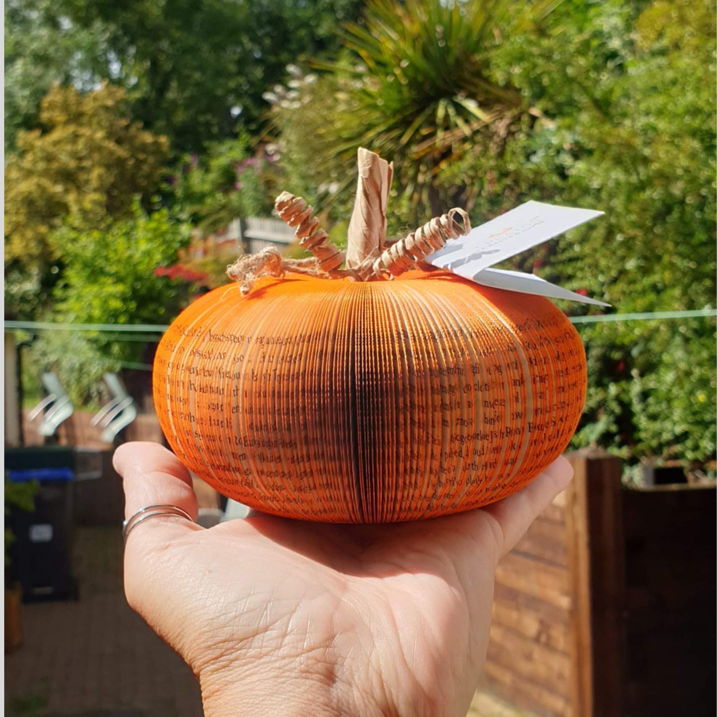 Set of 3 Pumpkin set displayed together as autumn decoration