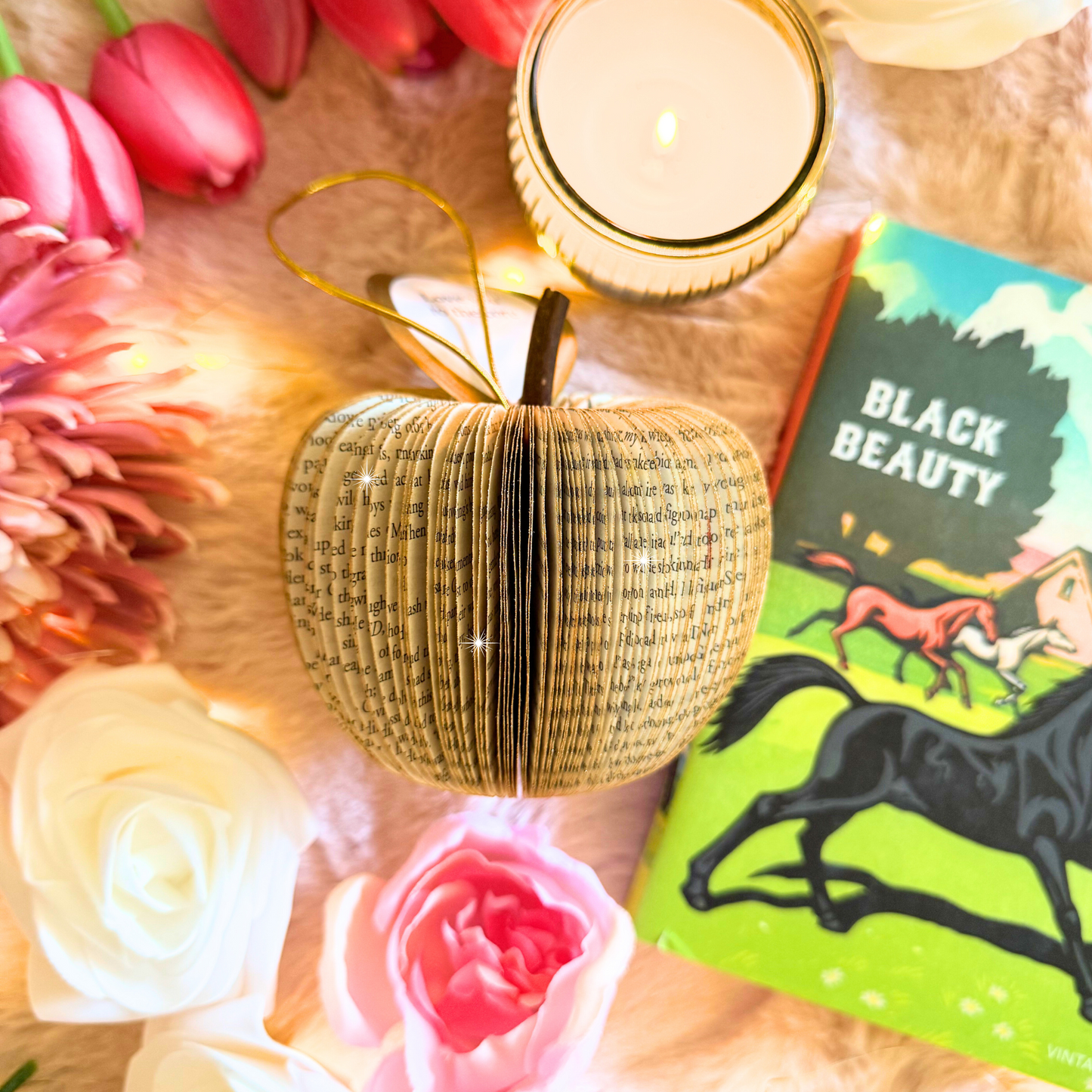 Black Beauty Book Gift