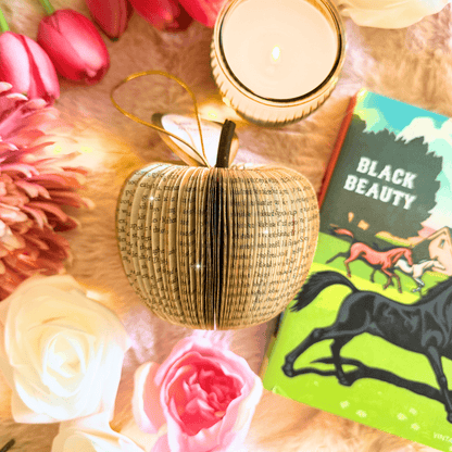 Collection of Black Beauty book apples showing personalisation options