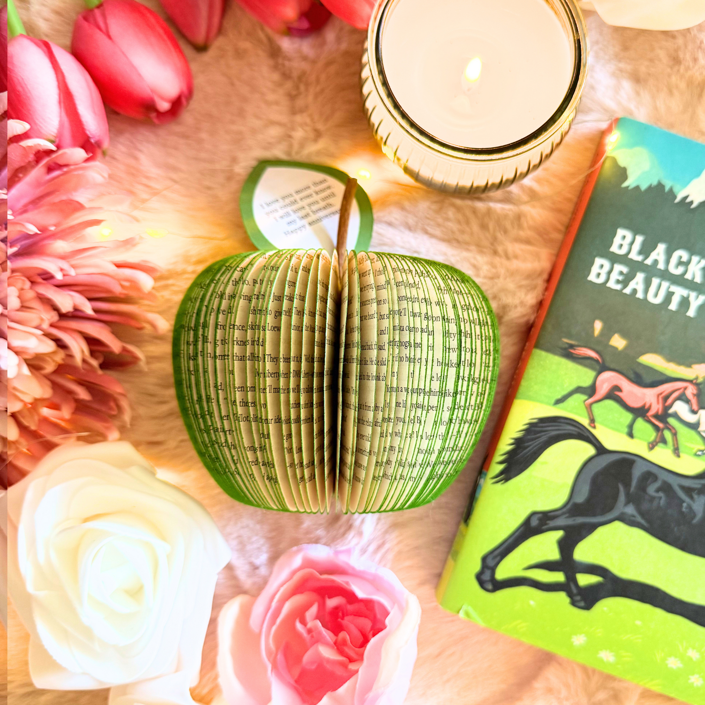 Black Beauty Book Gift