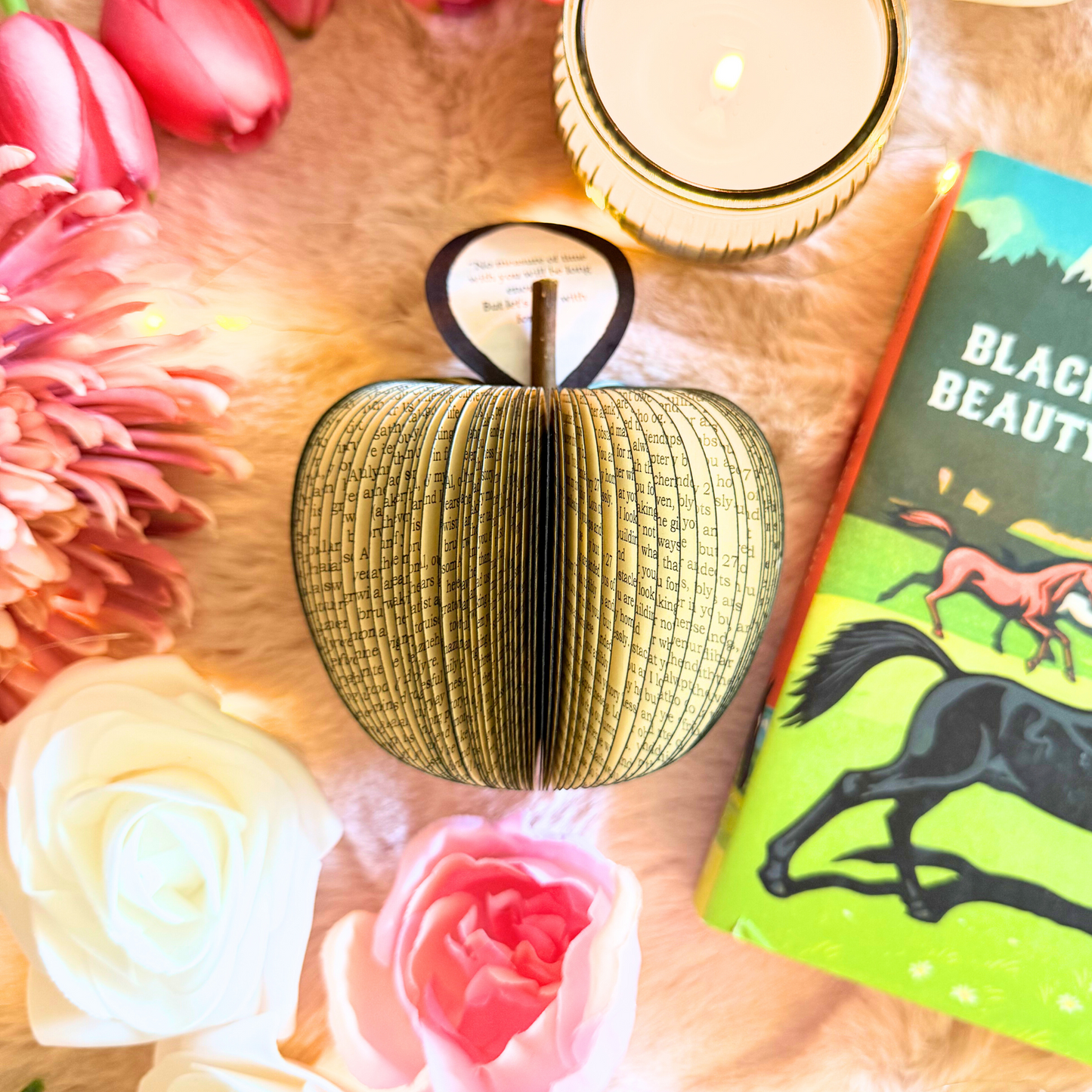 Black Beauty Book Gift