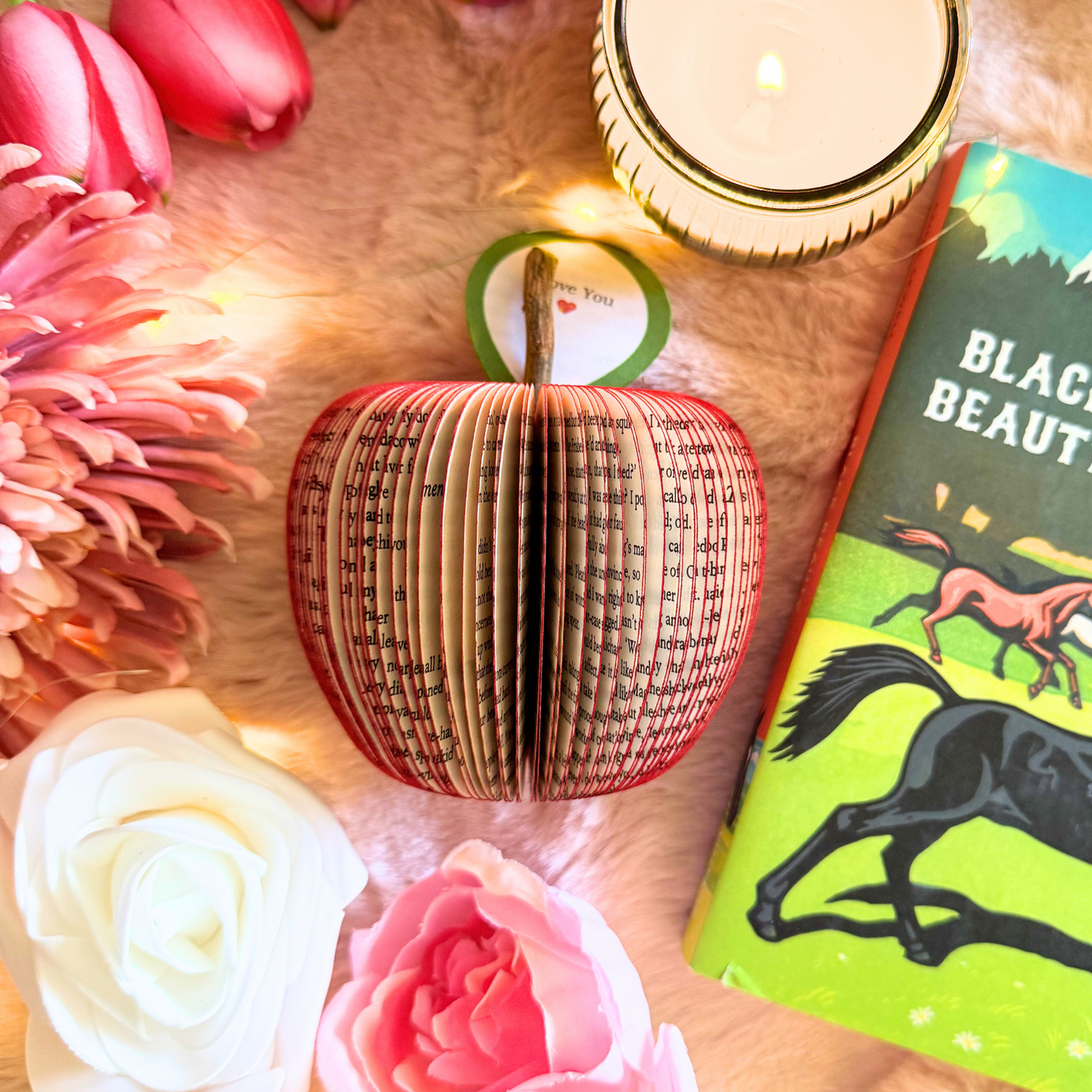 Black Beauty Book Gift