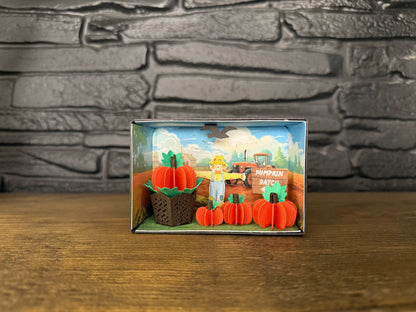 Little Pumpkin Patch Scene DIY Kit pumpkin on white background