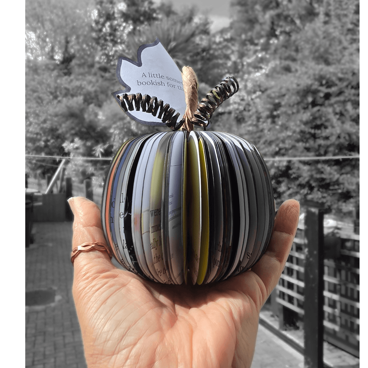 Nightmare Before Christmas black pumpkin book gift held in hand outdoors, personalised Halloween and Christmas decor